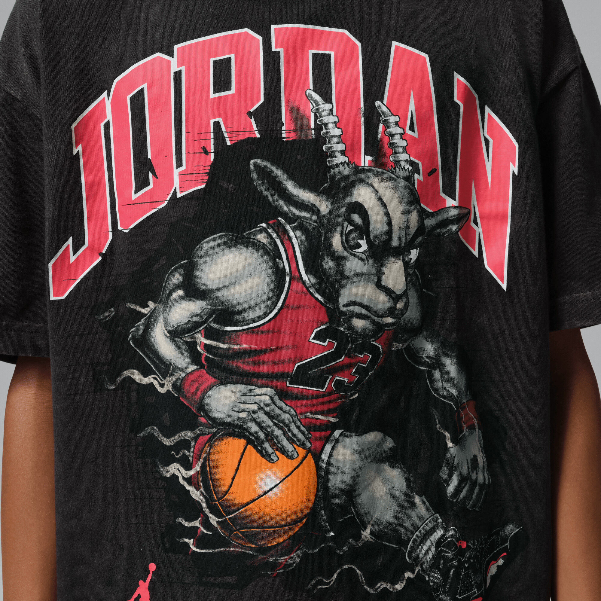 Jordan image number 3