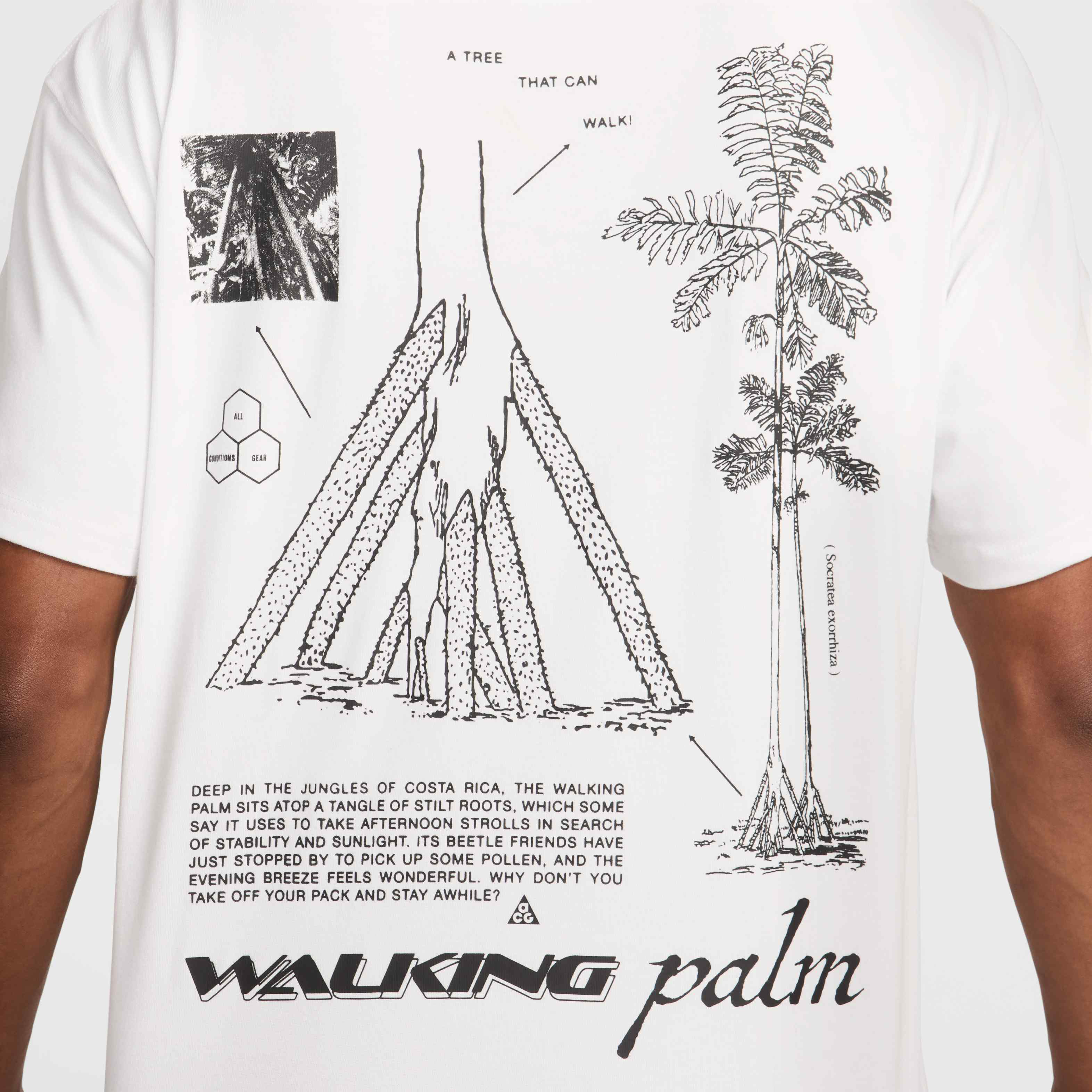 Nike ACG 'Walking Tree' image number 3