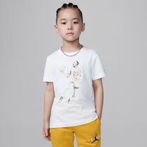 Air Jordan
