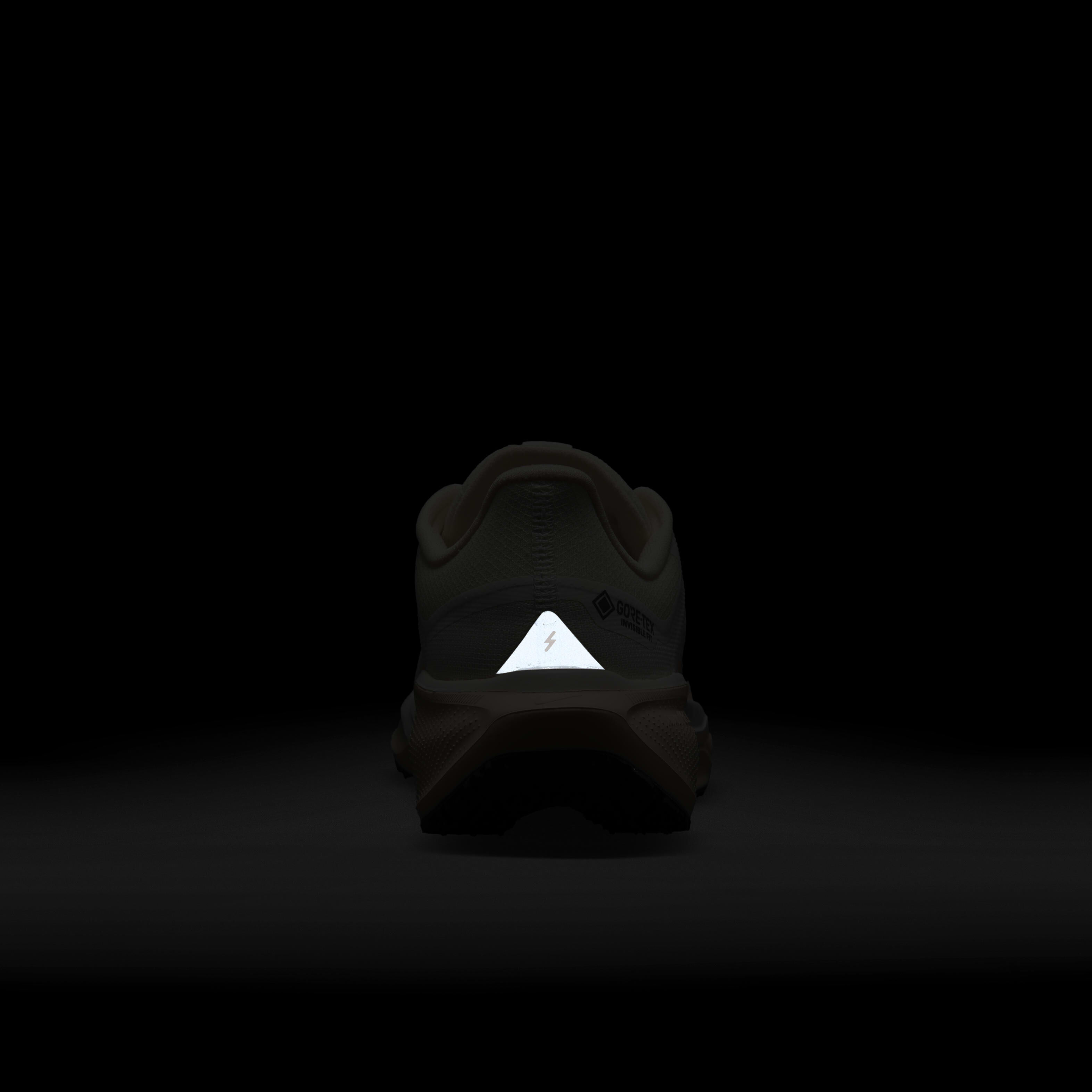 نايكي بيجاسوس 41 جور-تكس image number 9