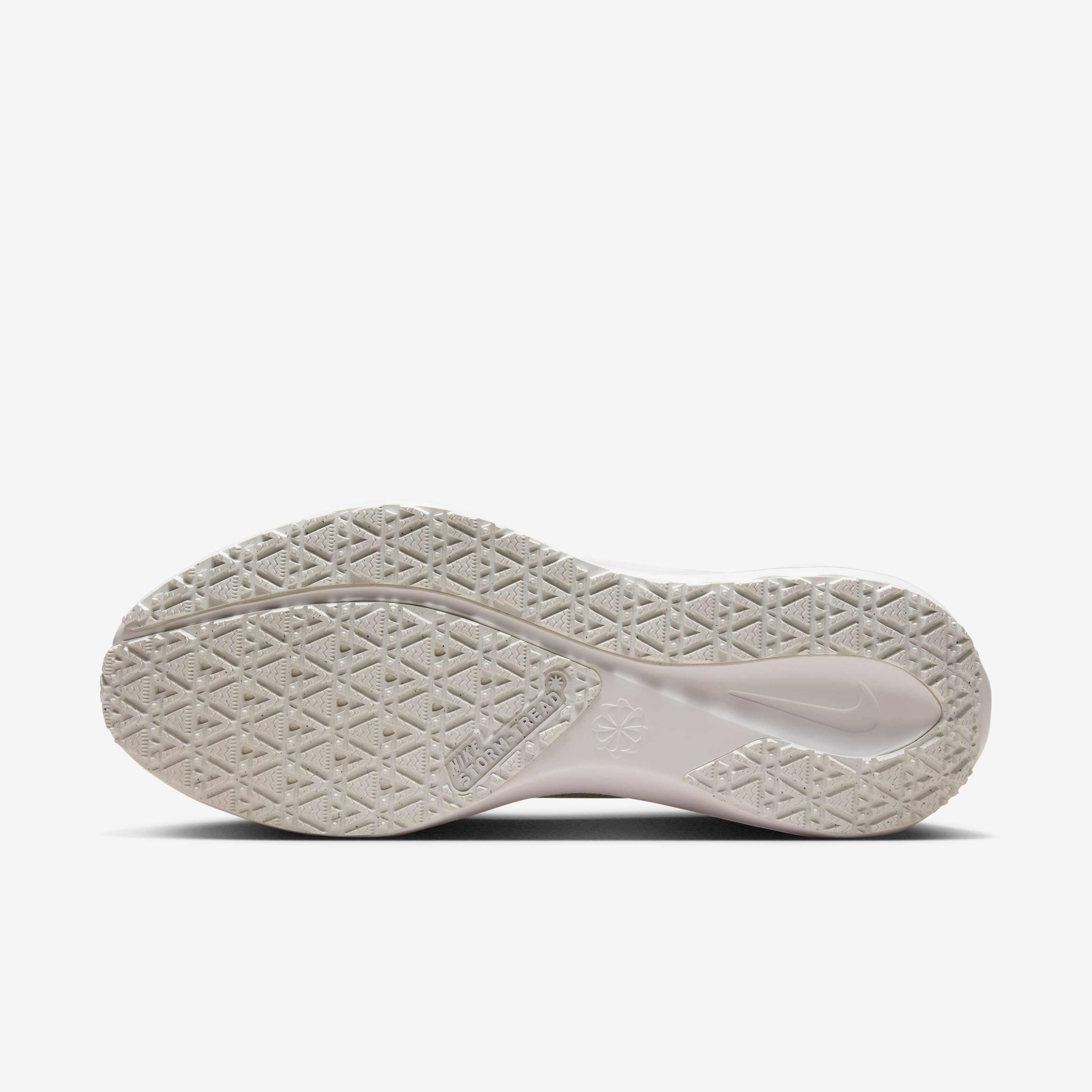 نايكي بيجاسوس 41 جور-تكس image number 1