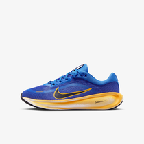 Nike Stellar Ride