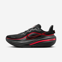 Nike Winflo 12