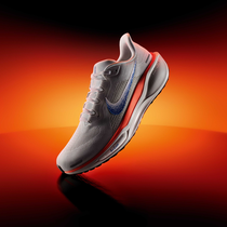 Nike Pegasus 41 Blueprint