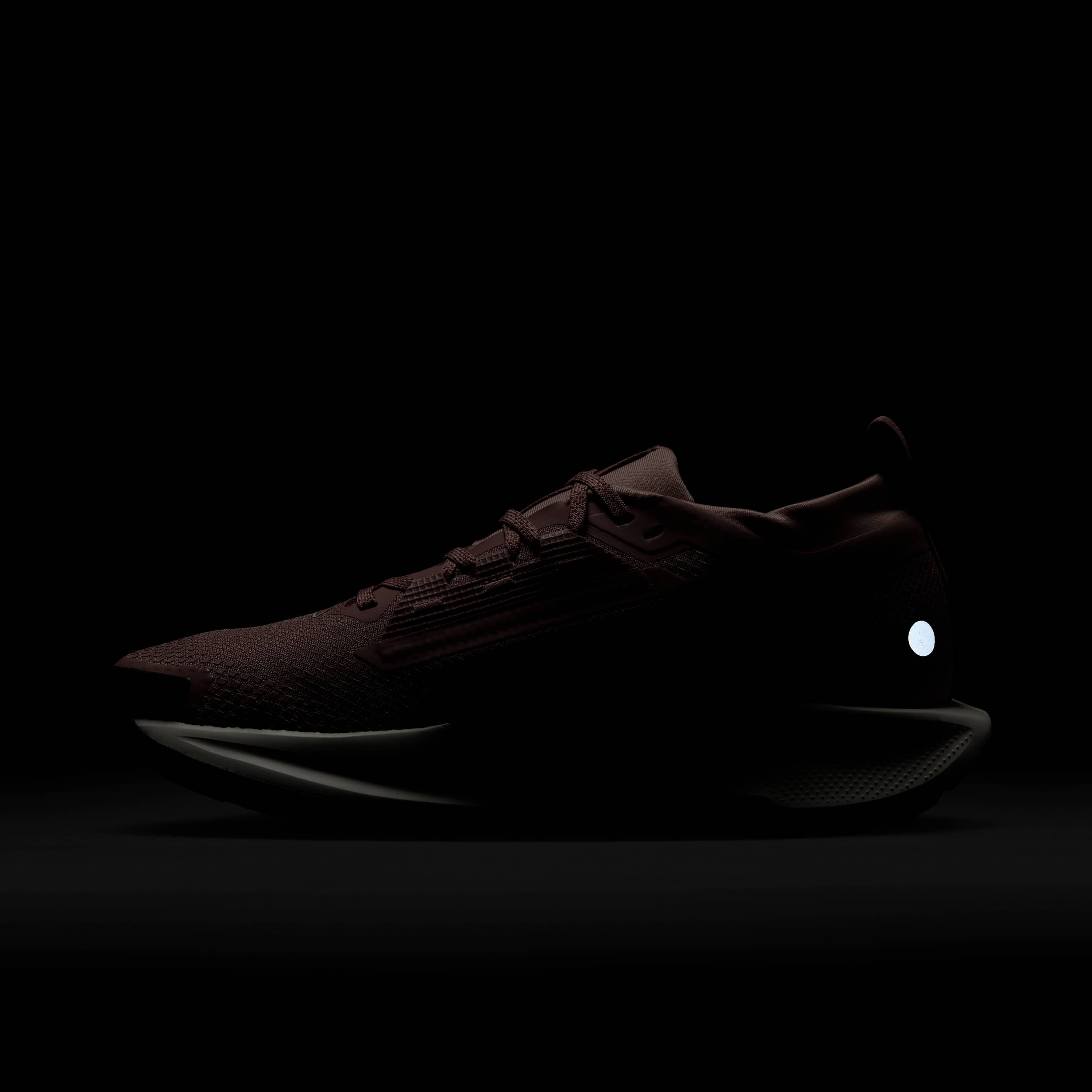 Nike Pegasus Trail 5 GORE-TEX image number 10