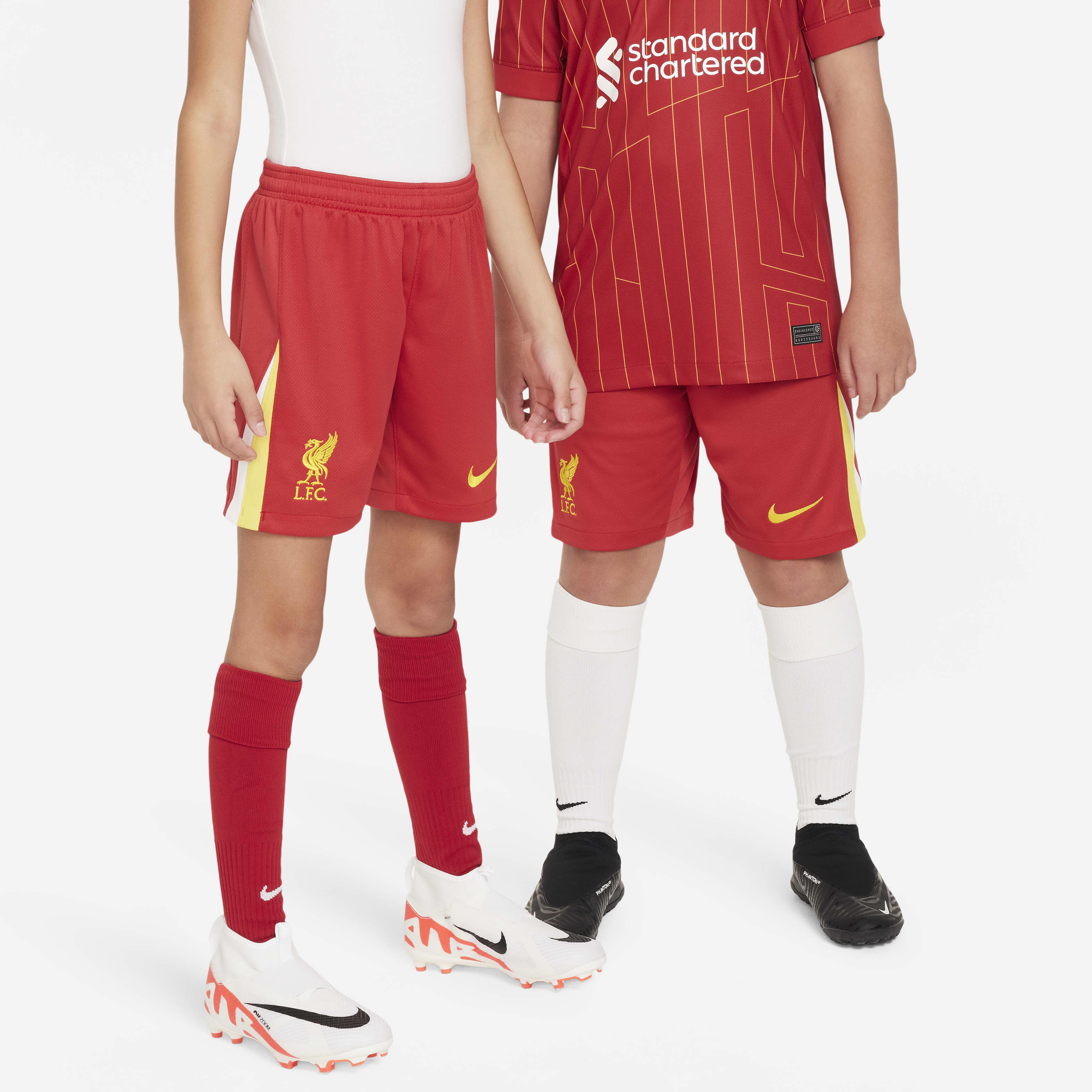 Bermuda liverpool top