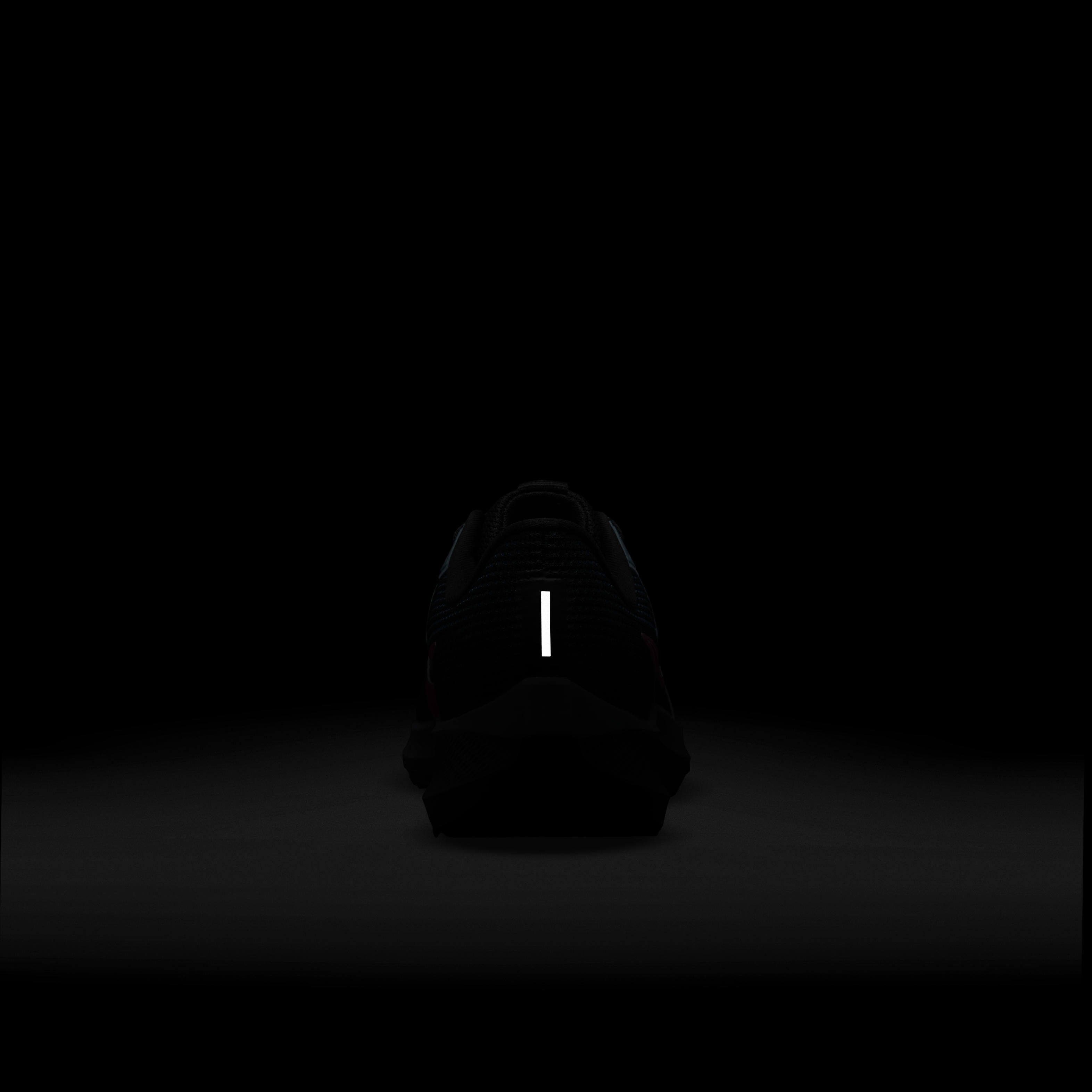 نايكي بيجاسوس 40 SE image number 8