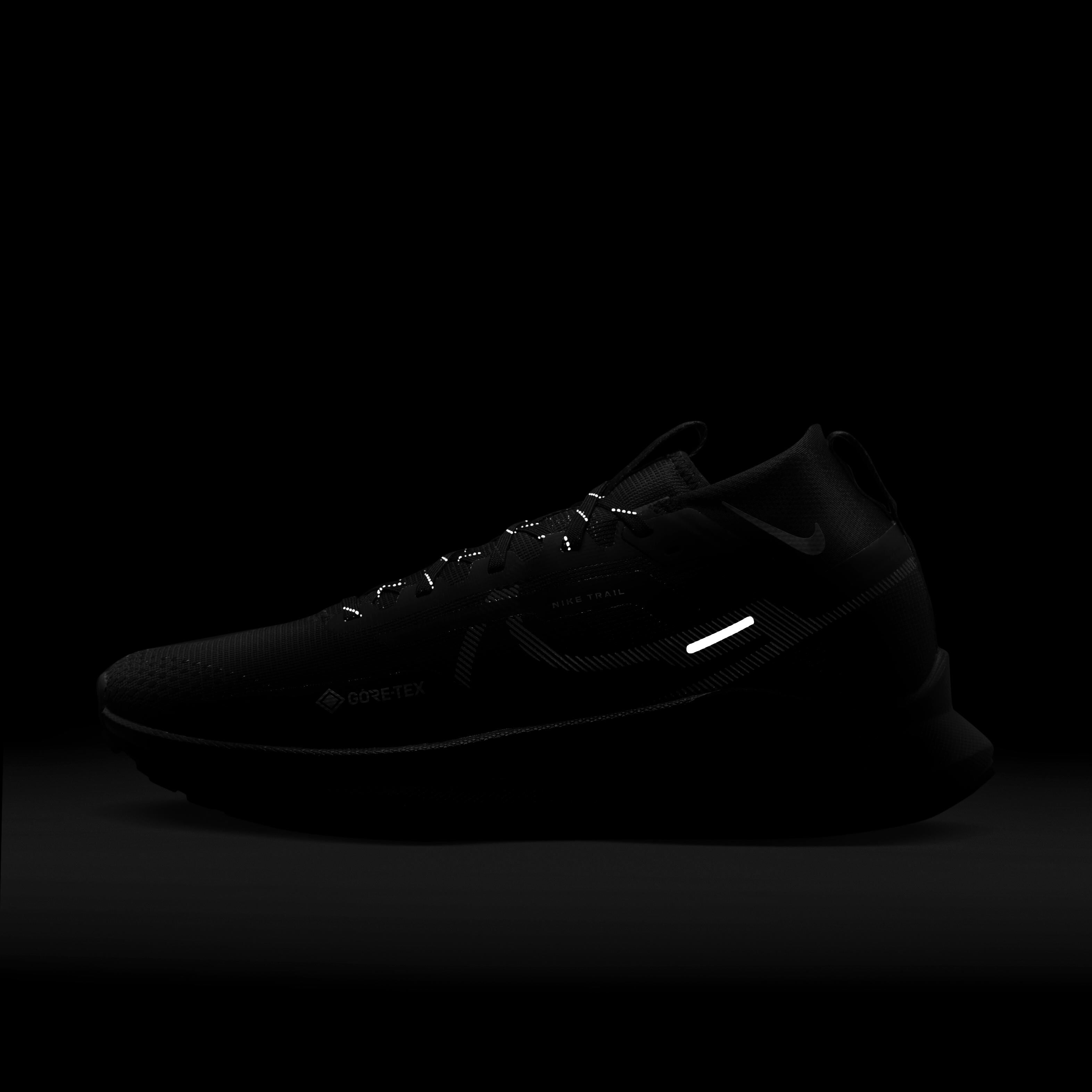 Nike Pegasus Trail 4 GORE-TEX image number 10
