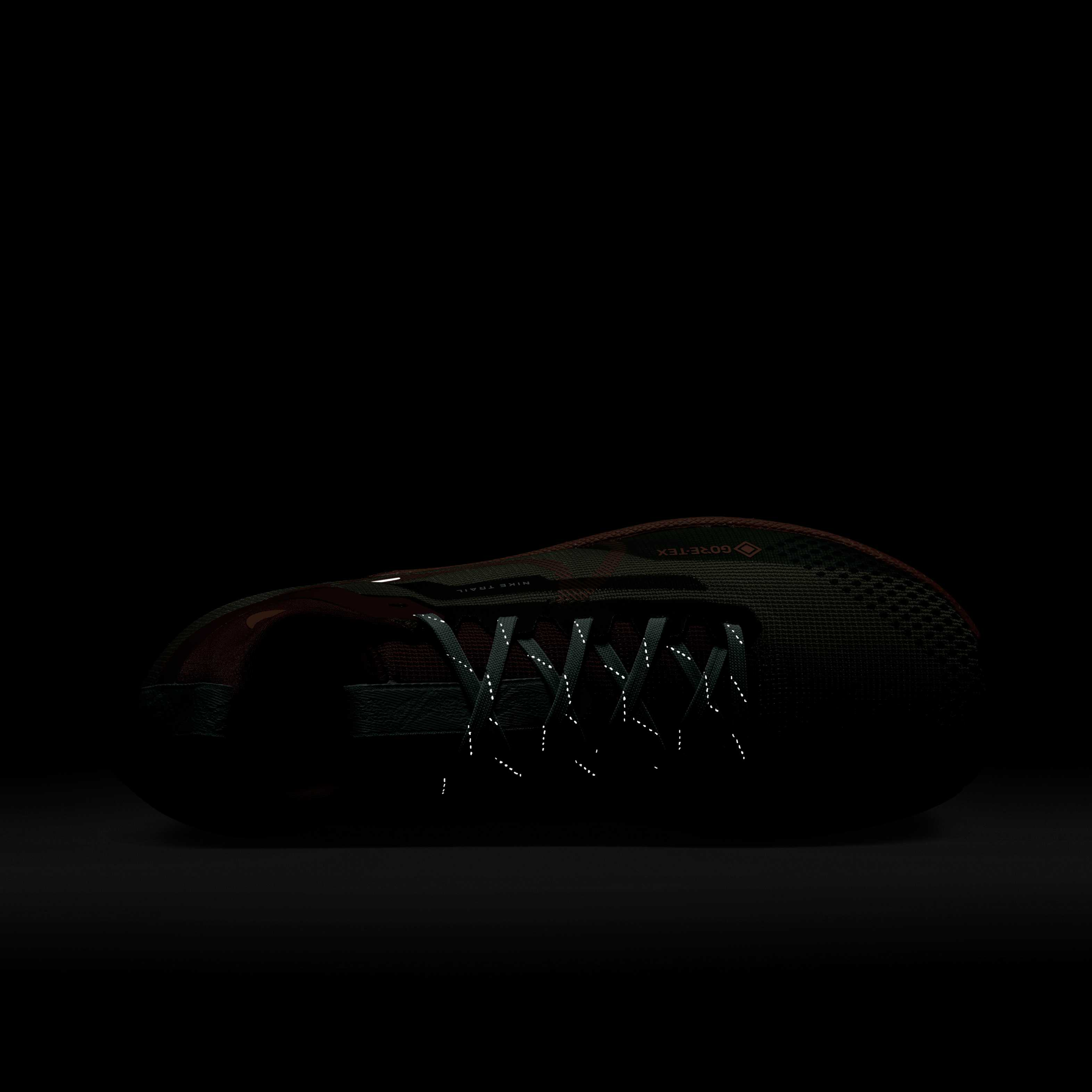 نايكي رياكت بيجاسوس تريل 4 جور-تيكس image number 8