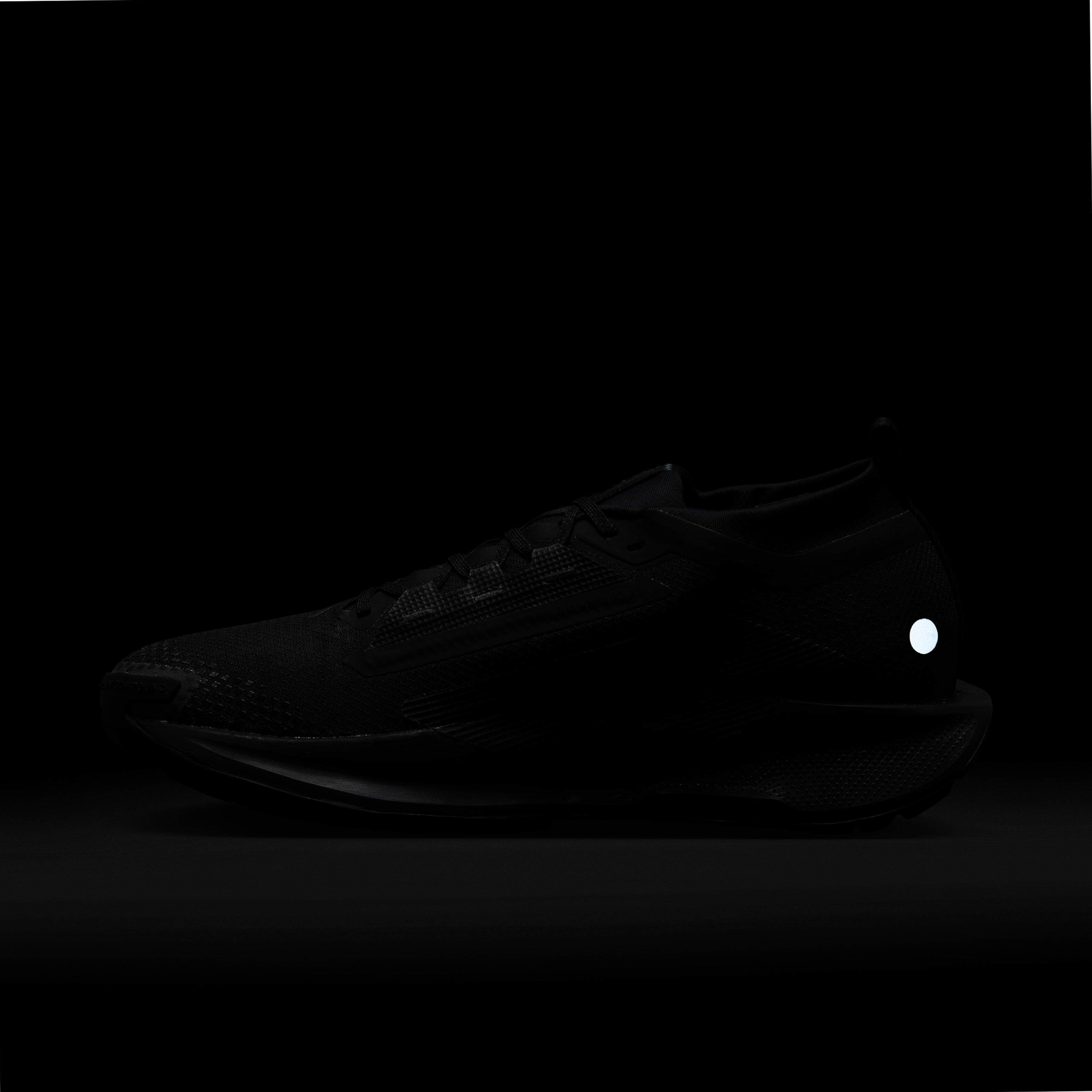 Nike Pegasus Trail 5 GORE-TEX image number 9