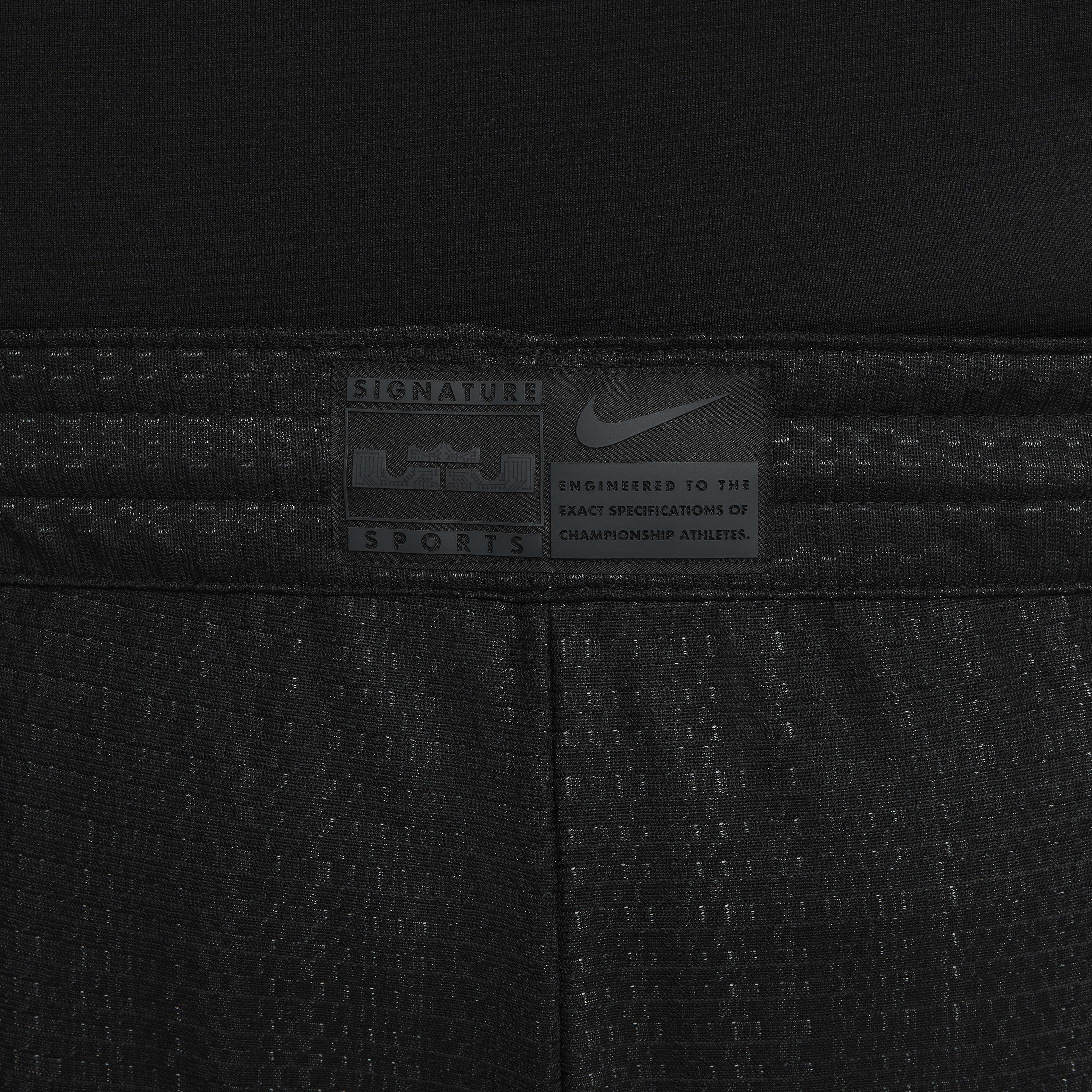 LeBron DNA image number 21