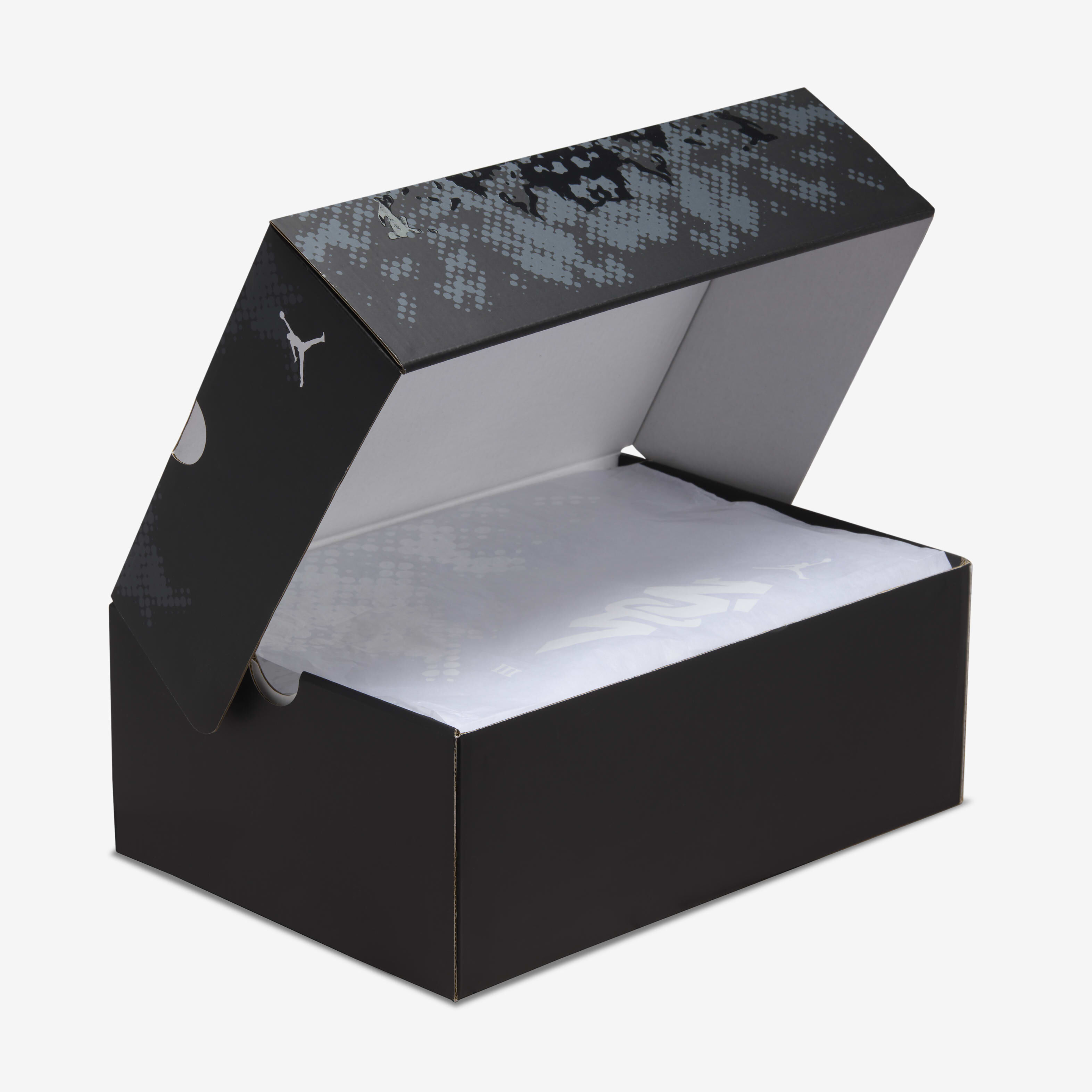 Zion 3 image number 9