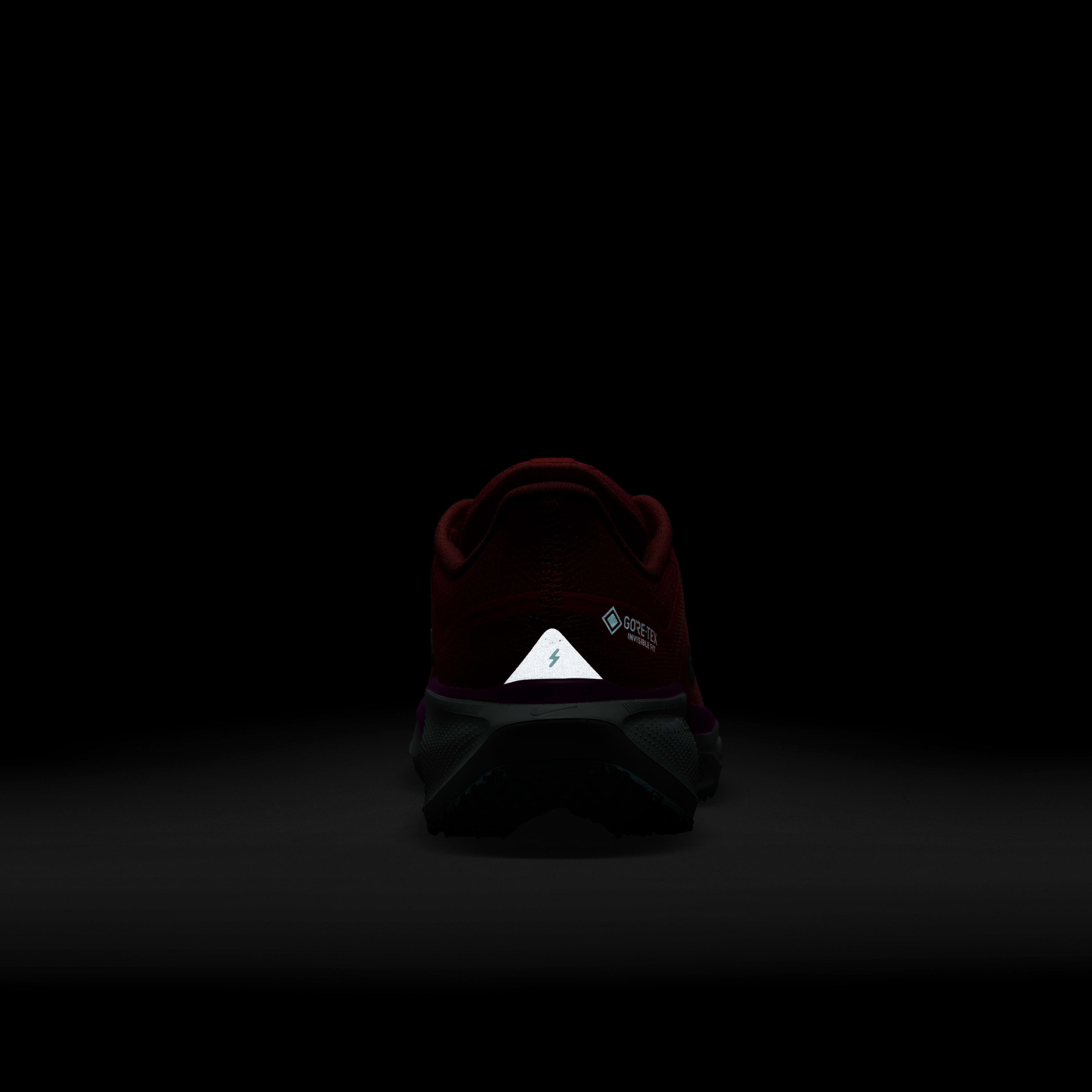 نايكي بيجاسوس 41 جور-تكس image number 9