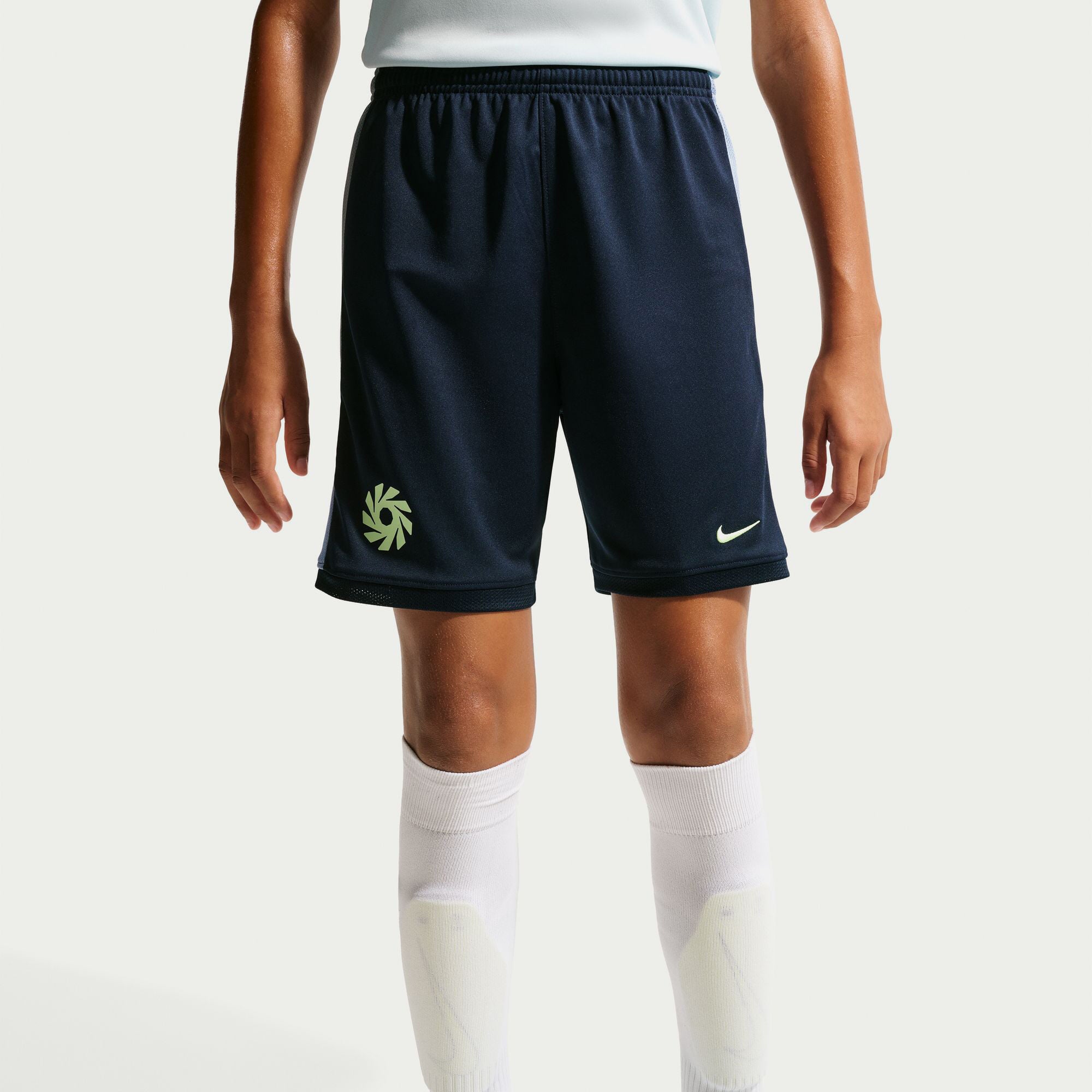 Erling Haaland Academy image number 2