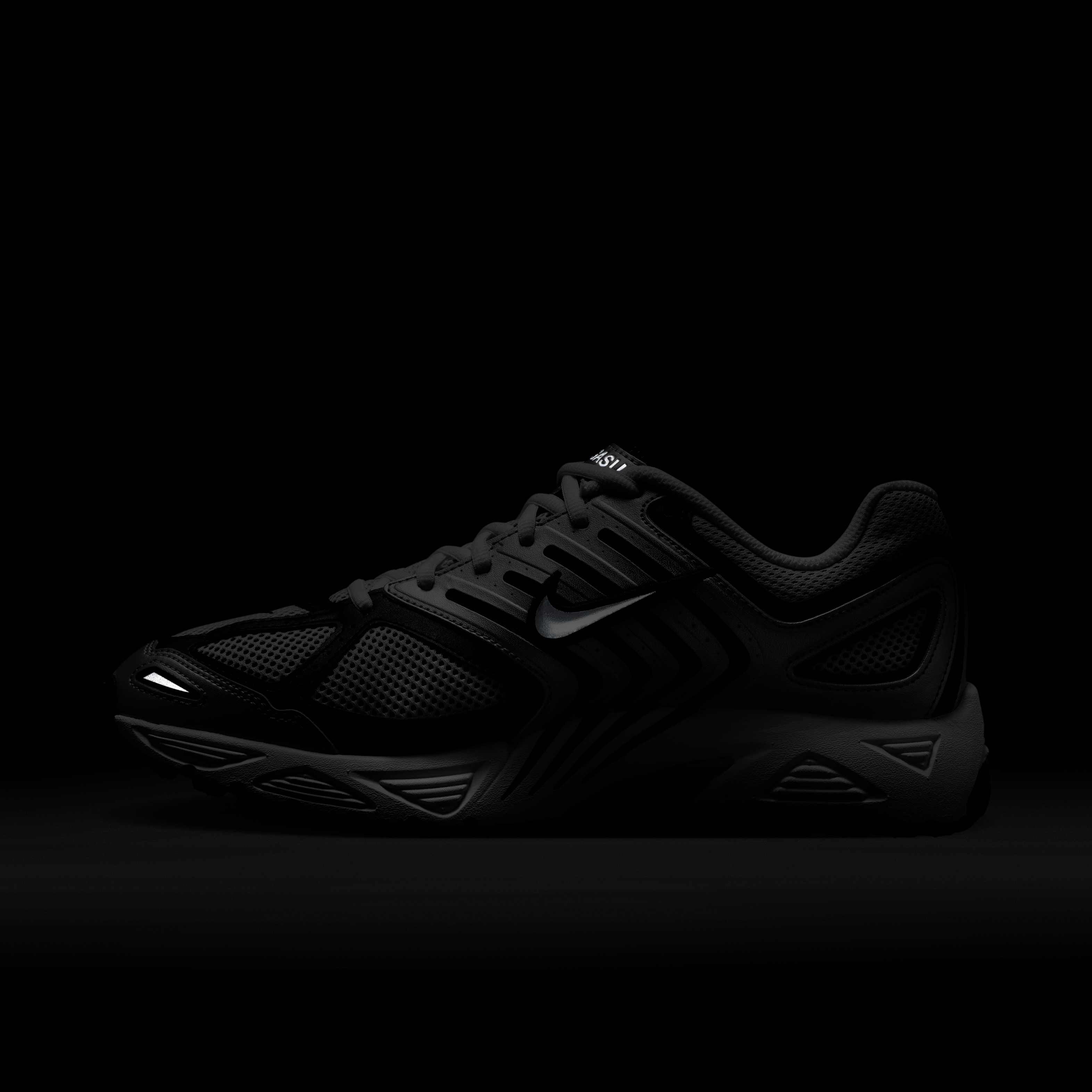 نايكي اير بيجاسوس 2005 image number 10