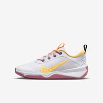 Nike Omni Multi-Court
