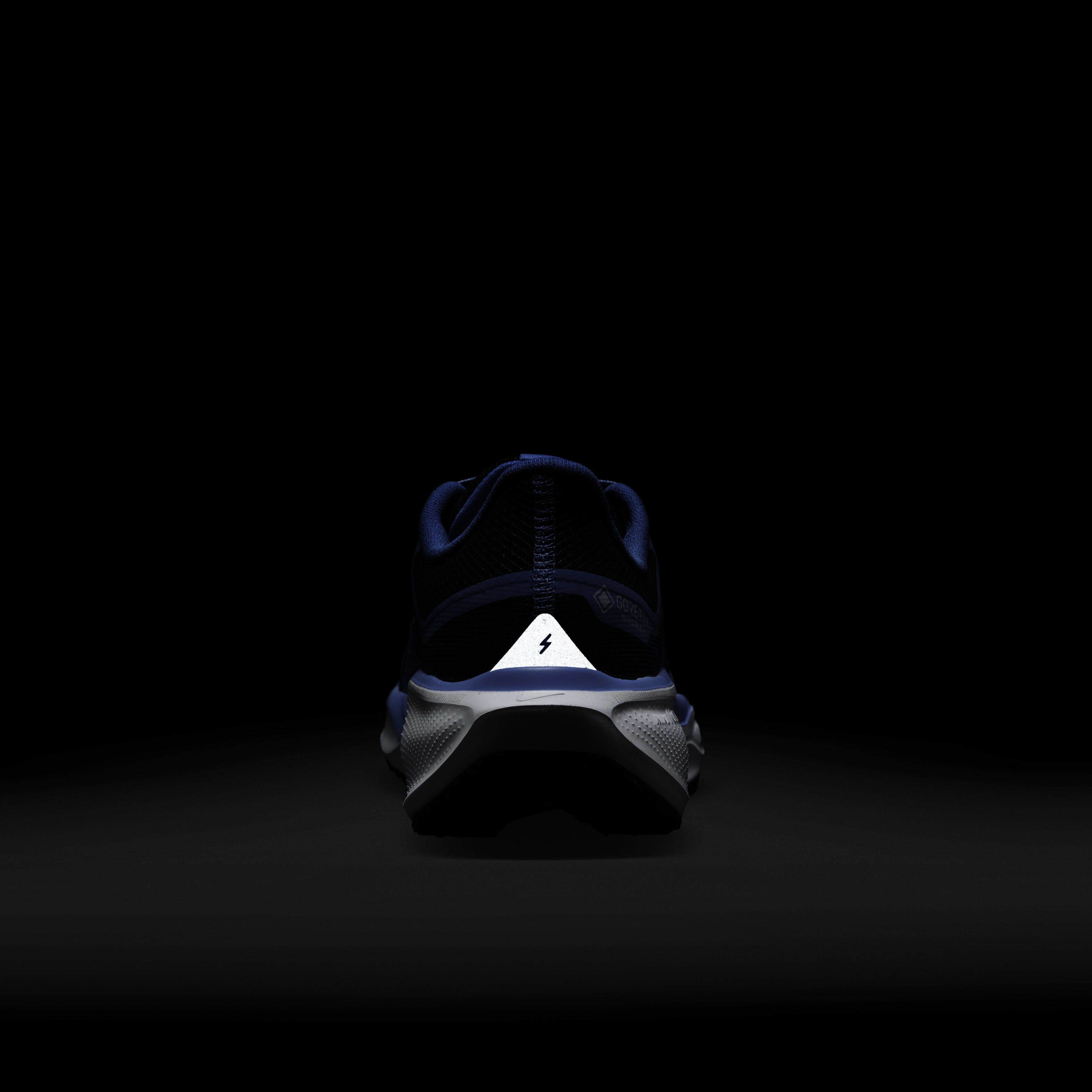 نايكي بيجاسوس 41 جور-تكس image number 8