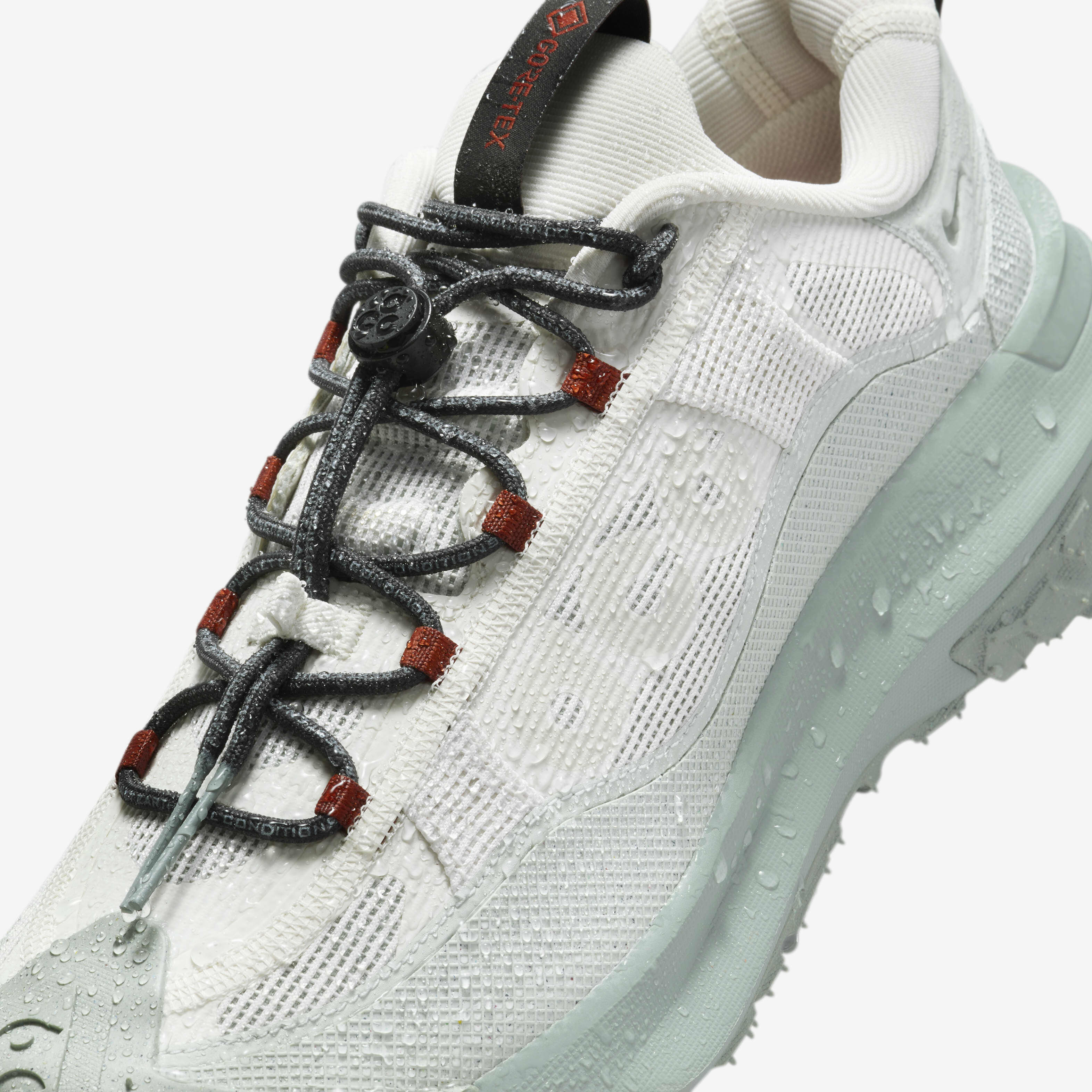 Buy Nike ACG Mountain Fly 2 Low GORE-TEX Men's Shoes