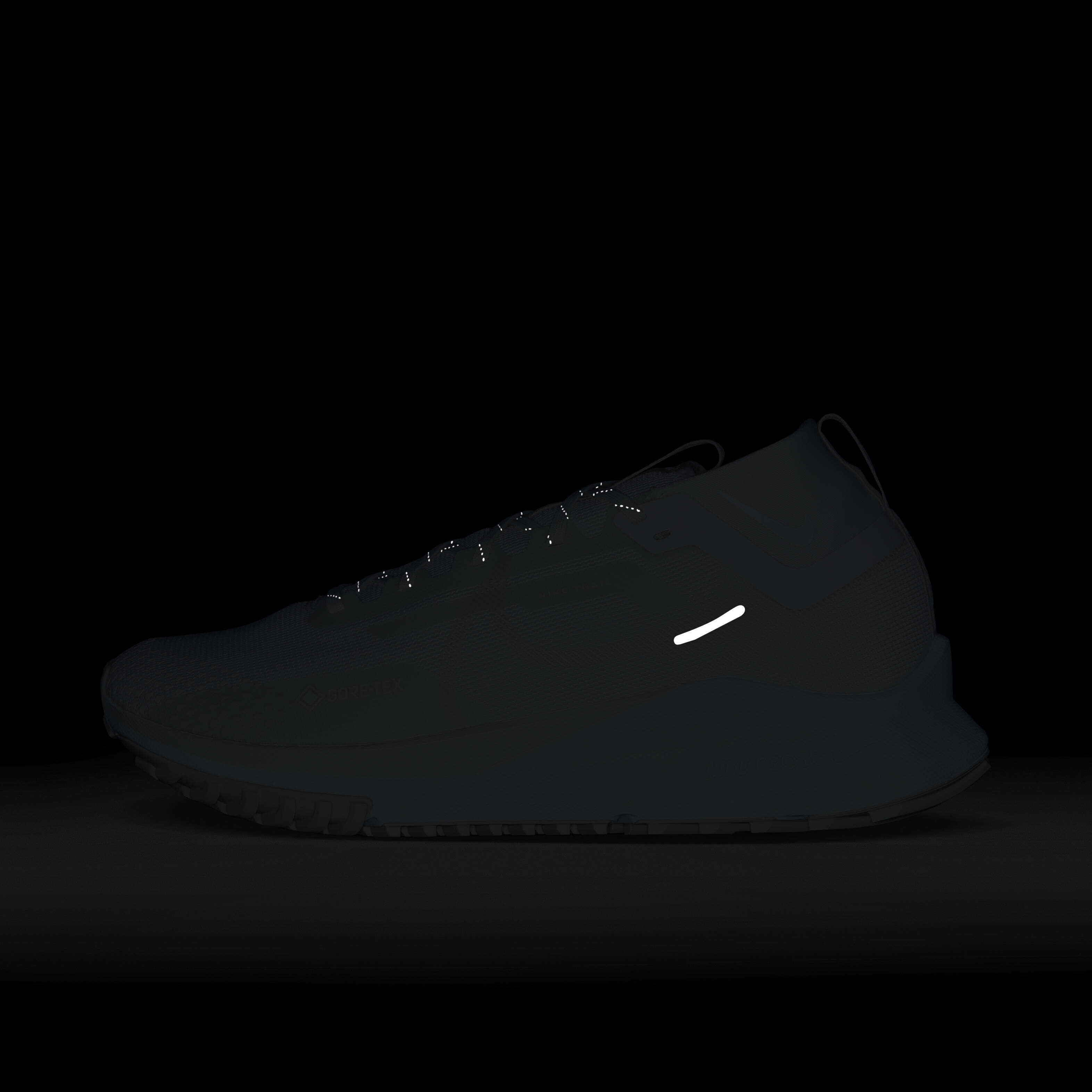 Nike Pegasus Trail 4 GORE-TEX image number 9