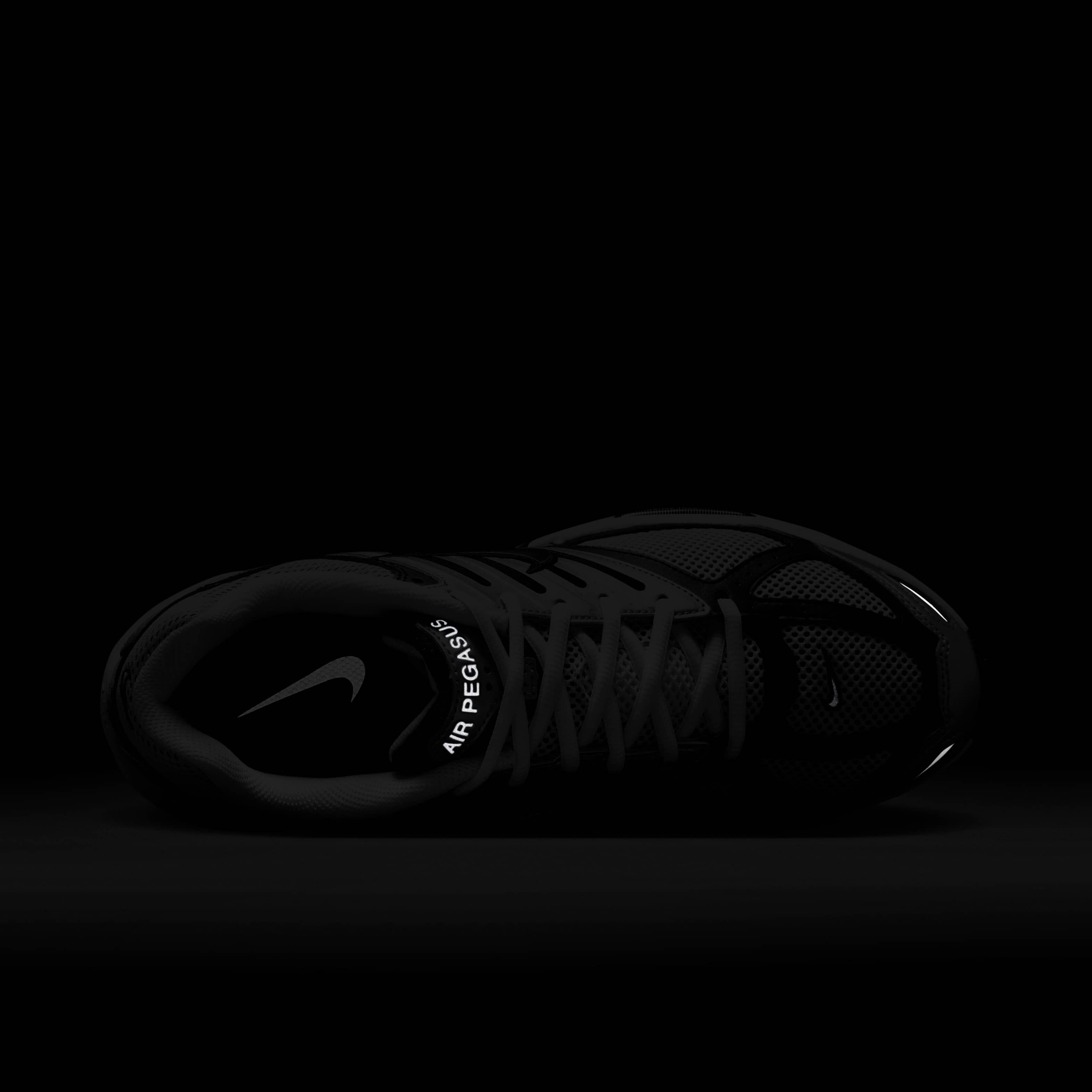 نايكي اير بيجاسوس 2005 image number 8