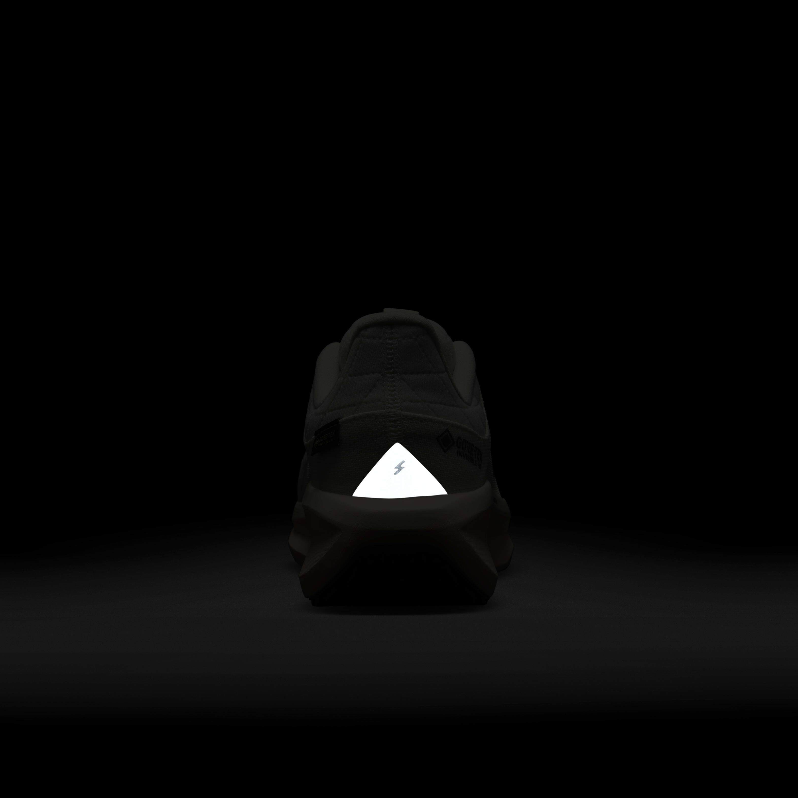 Nike Winflo 11 GORE-TEX image number 8