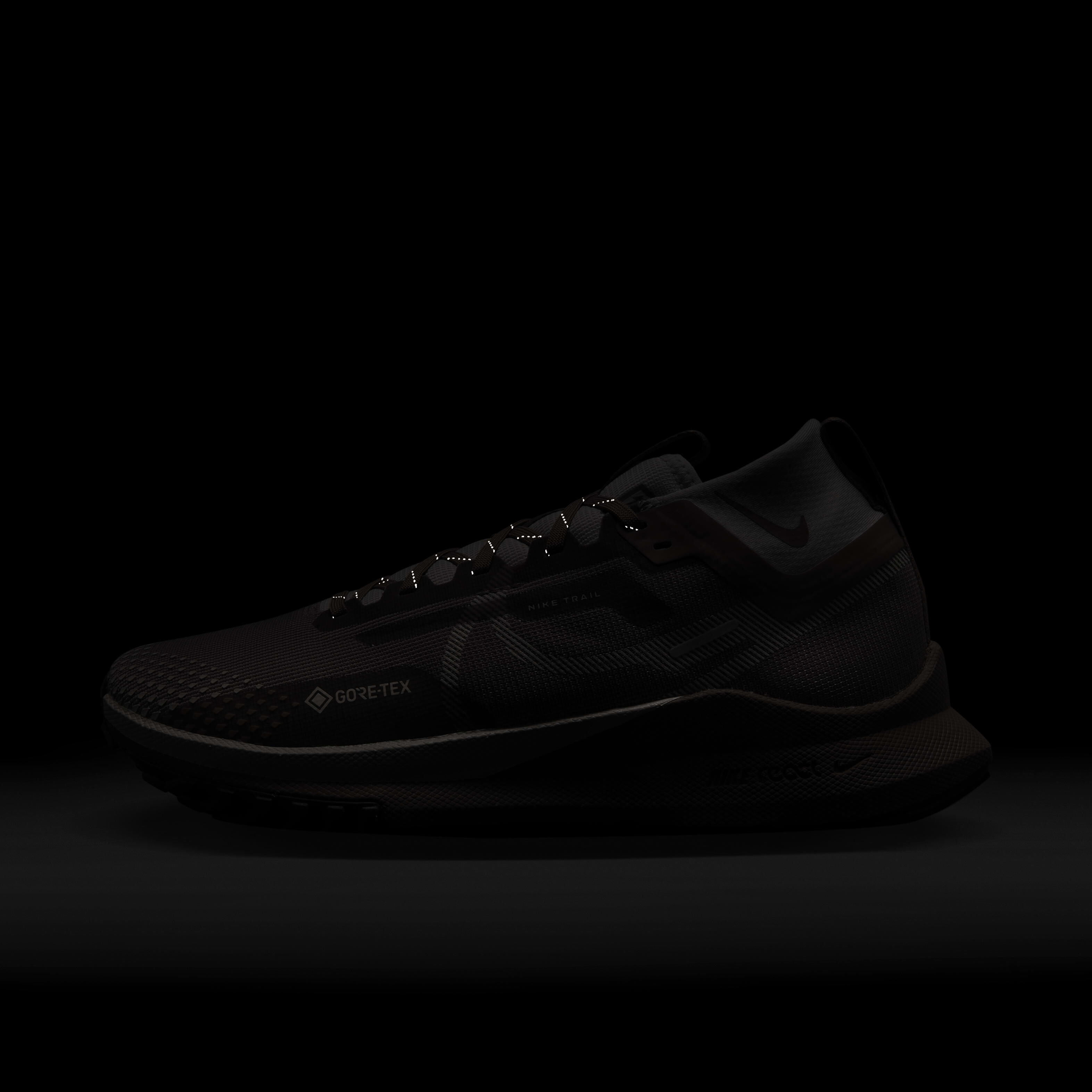 Nike Pegasus Trail 4 GORE-TEX image number 9