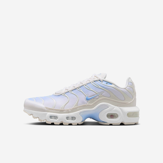 Nike Air Max Plus Nike Air Max Plus
