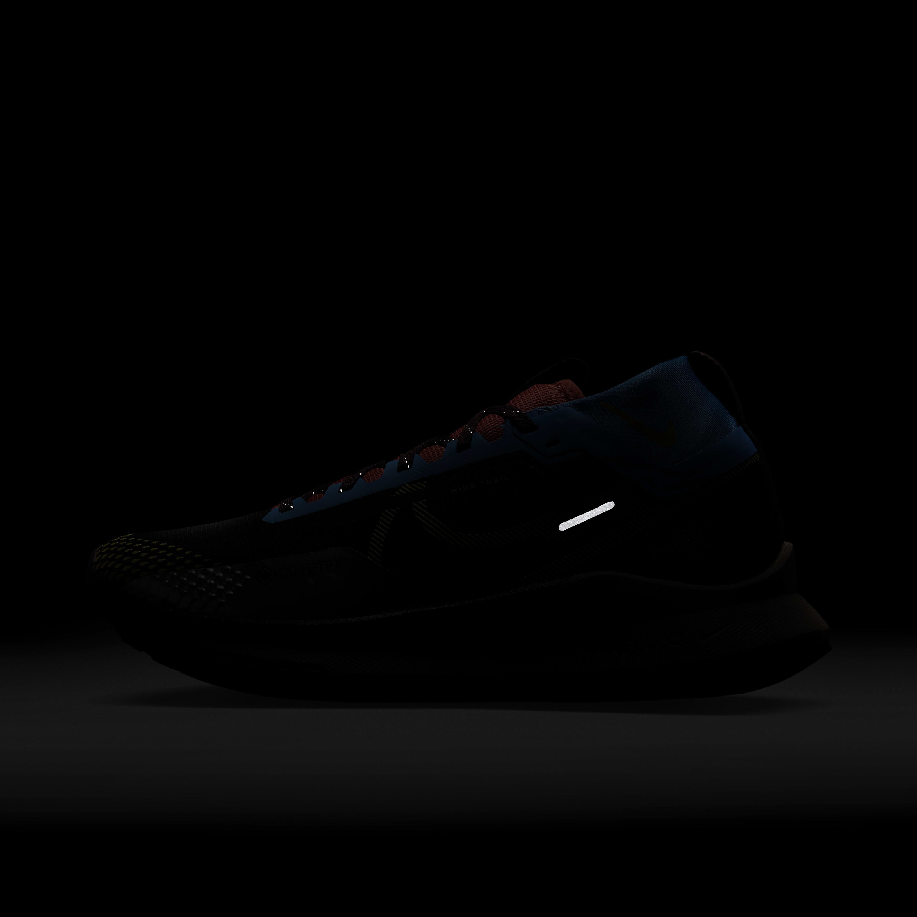 نايكي رياكت بيجاسوس تريل 4 جور-تيكس image number 9