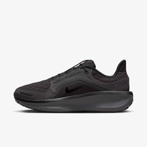 Nike Winflo 11 GORE-TEX
