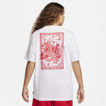 Nike SB