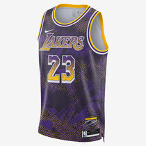 LeBron James Los Angeles Lakers 2025/26 Select Series