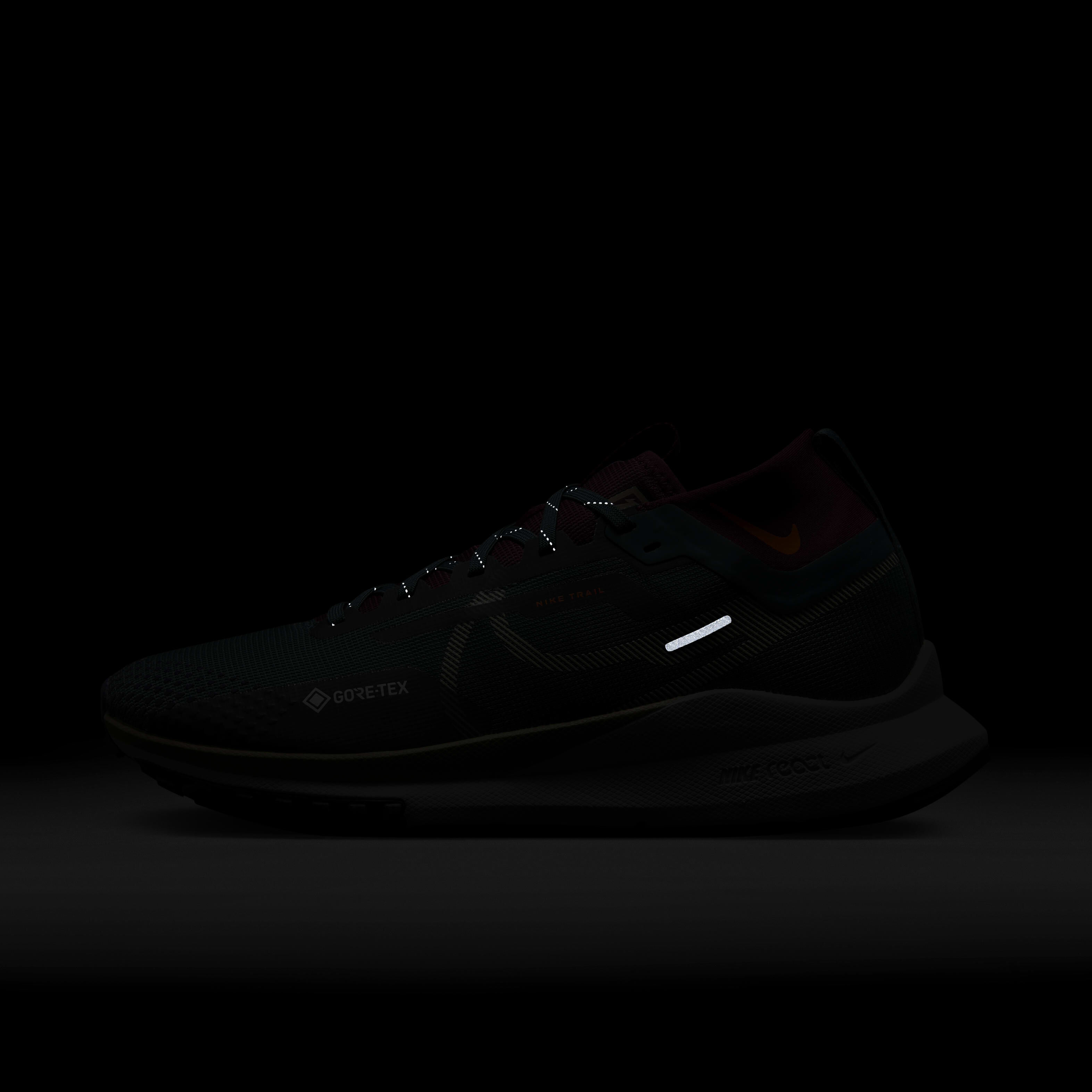 Nike Pegasus Trail 4 GORE-TEX image number 9