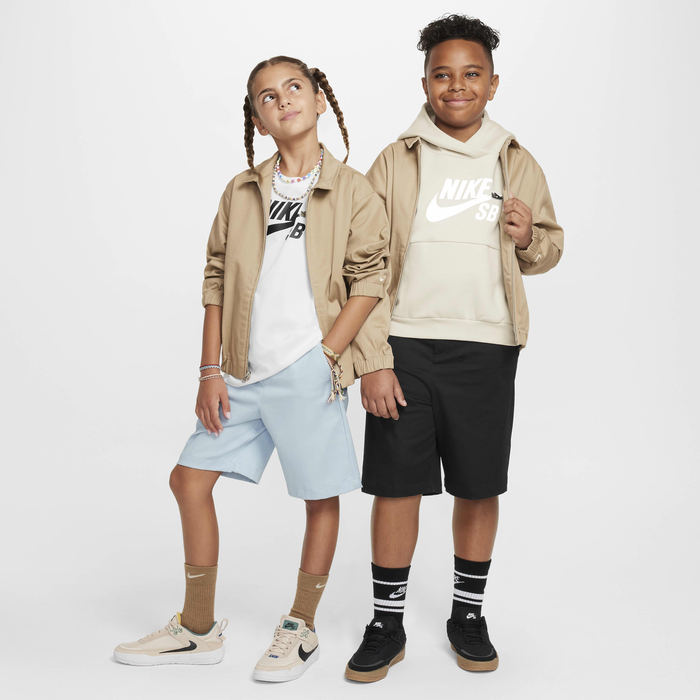 نايكي SB image number 6 نايكي SB image number 6