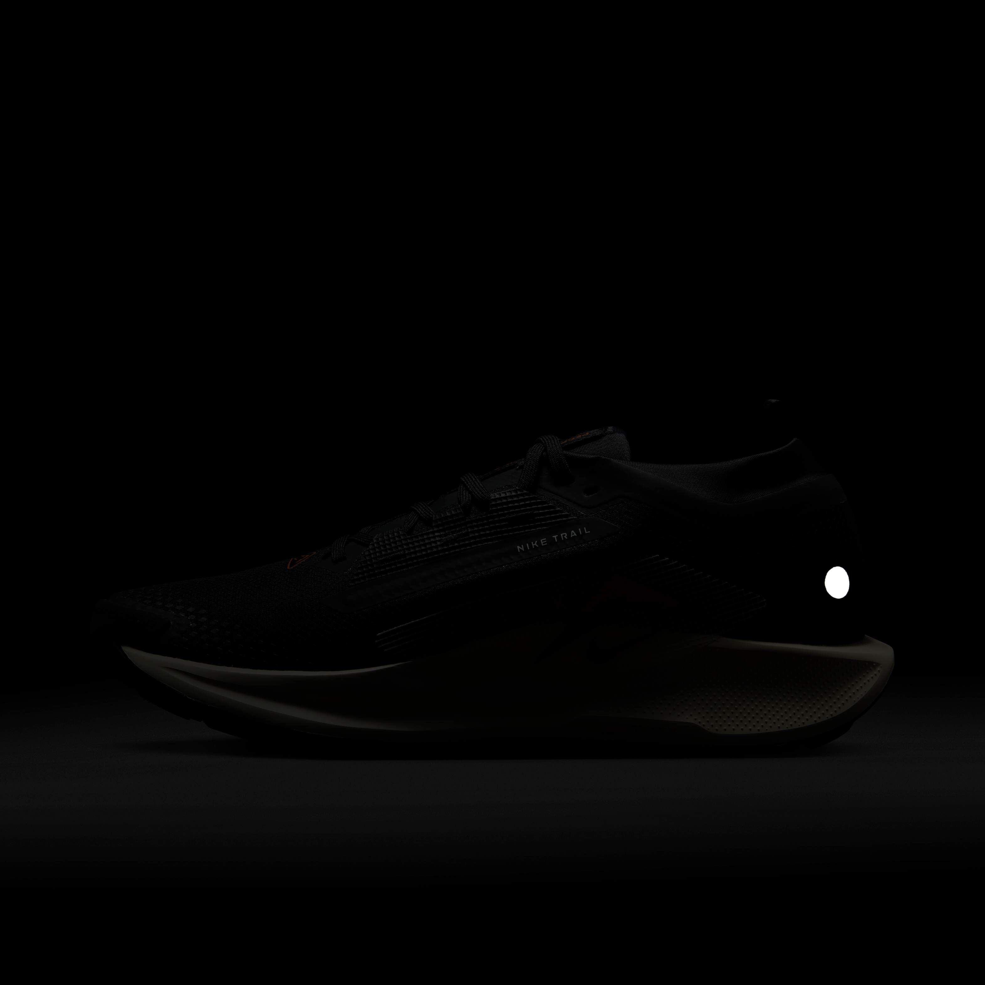 Nike Pegasus Trail 5 GORE-TEX image number 10