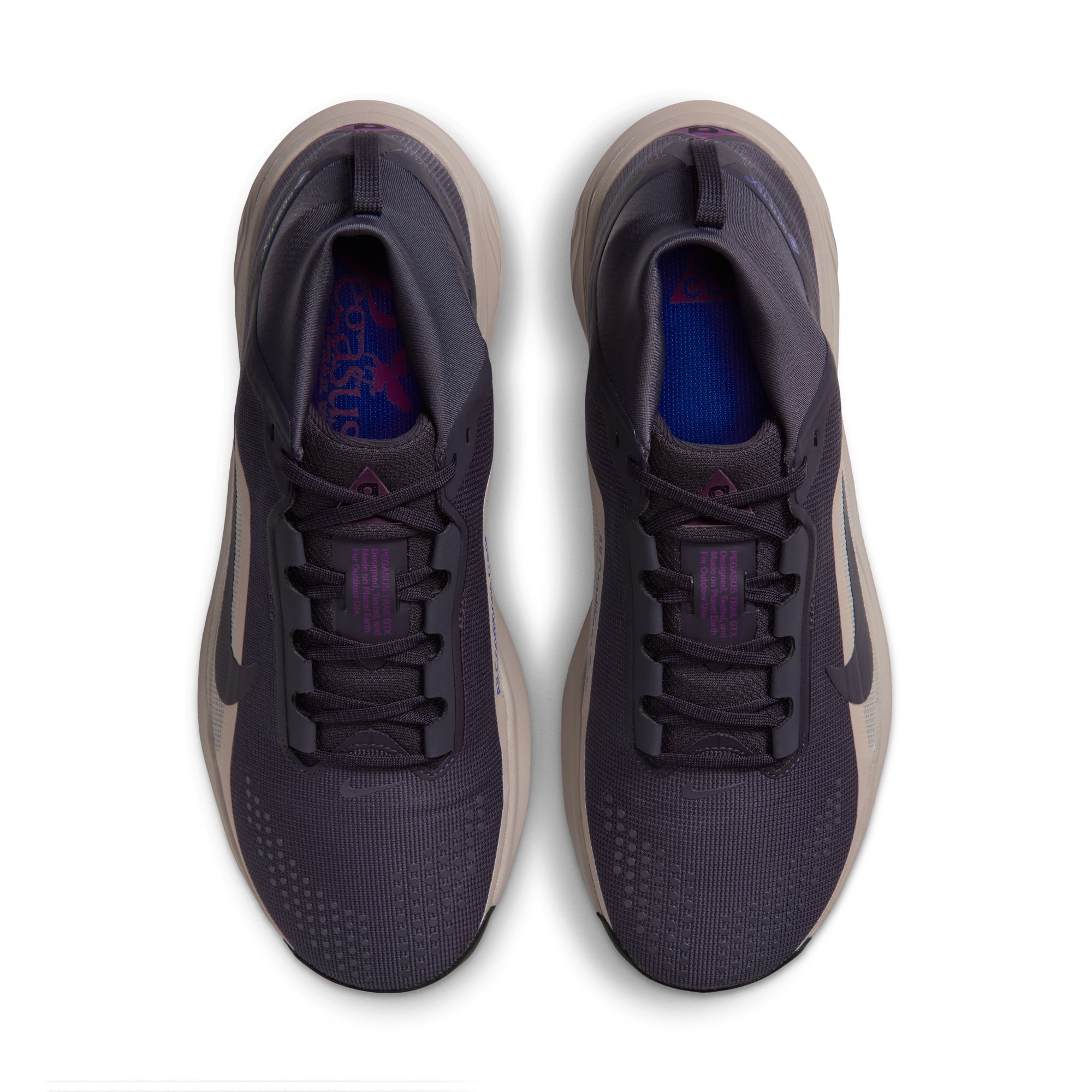 ACG بيجاسوس تريل GORE-TEX image number 3