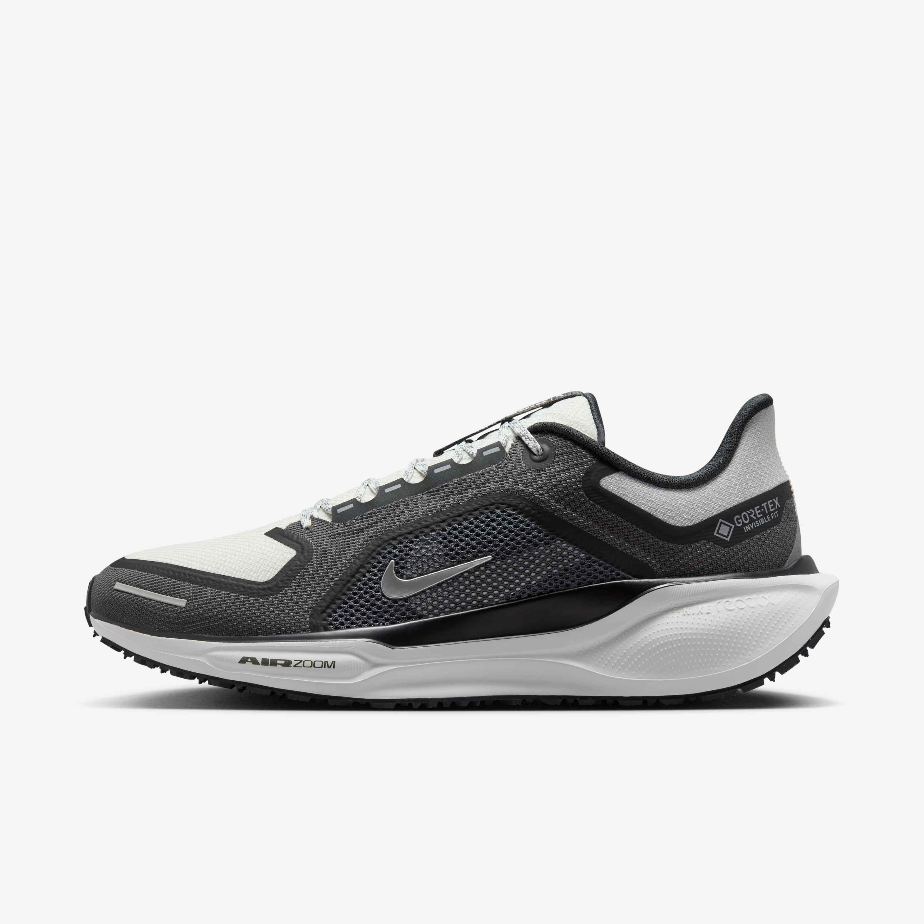 Nike Pegasus 41 GORE-TEX image number 0