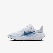 Nike Pegasus 41