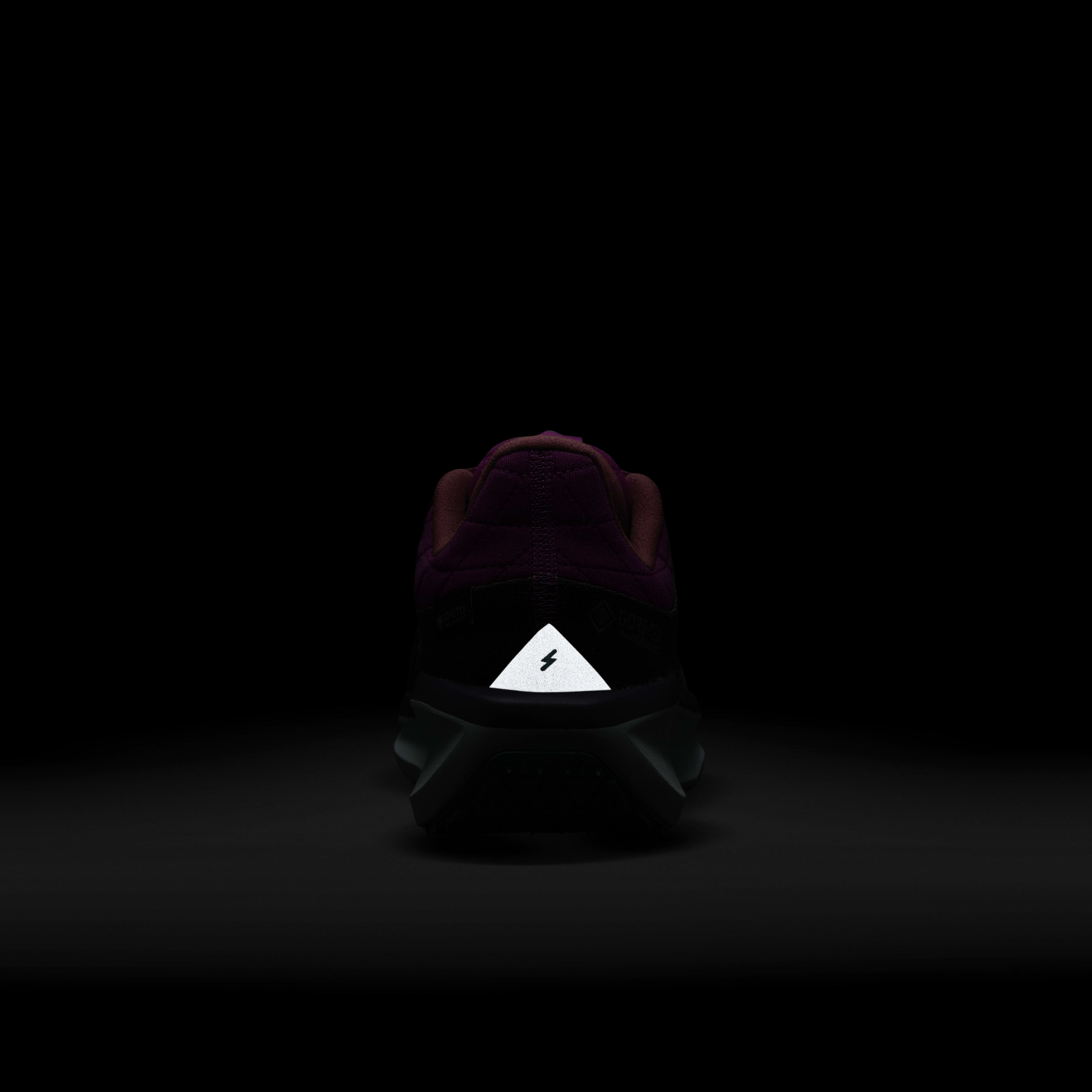 Nike Winflo 11 GORE-TEX SE image number 9