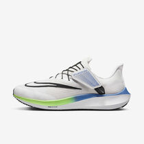 Nike Pegasus FlyEase