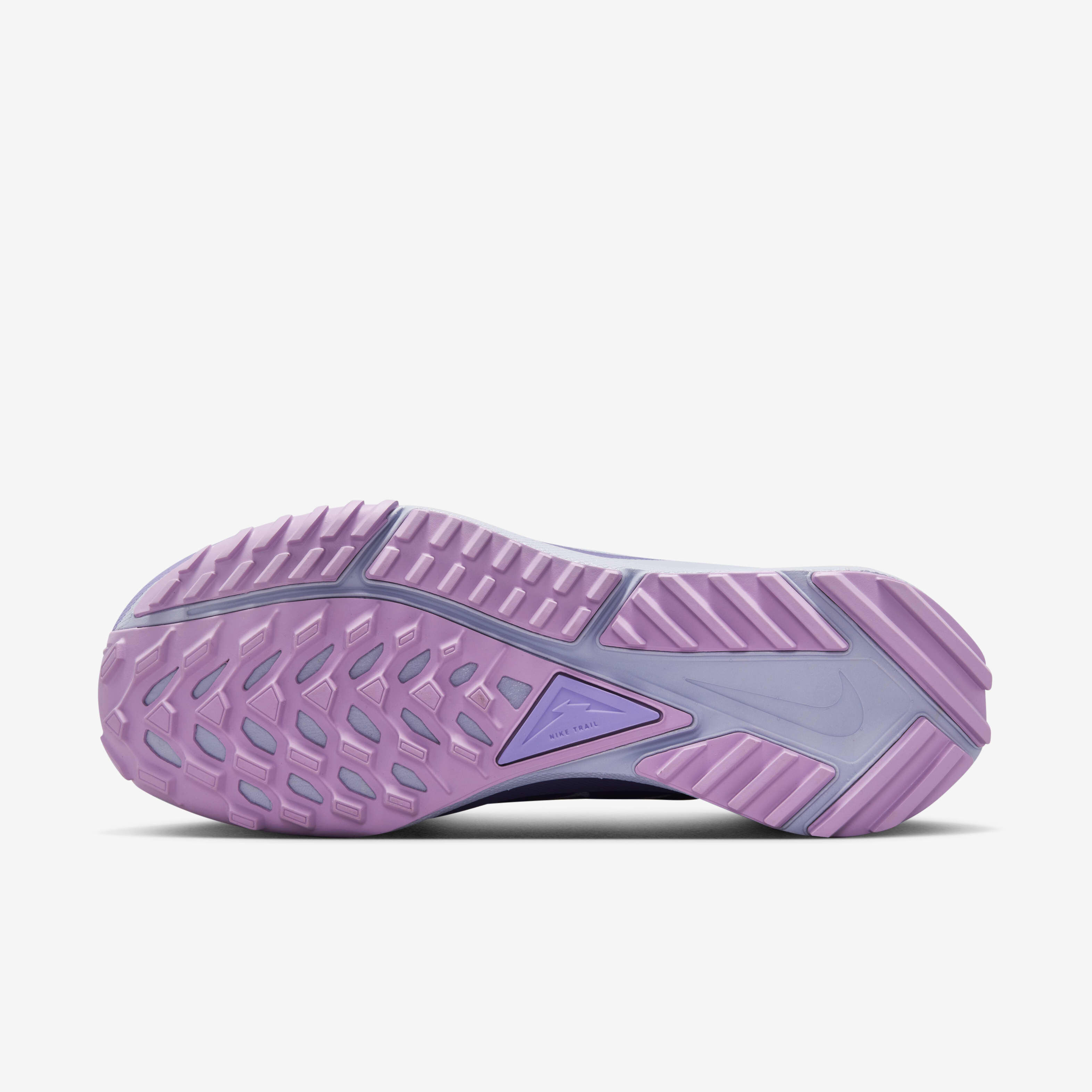 Nike Pegasus Trail 4 GORE-TEX image number 1