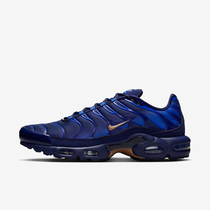 Nike Air Max Plus OG 'FFF'