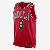Chicago Bulls Icon Edition
