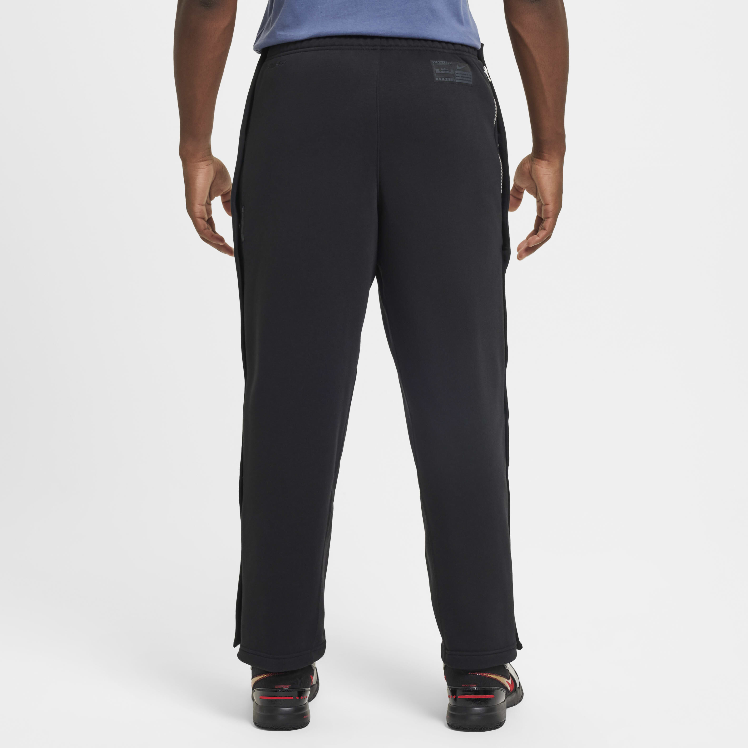 LeBron Standard Issue image number 1