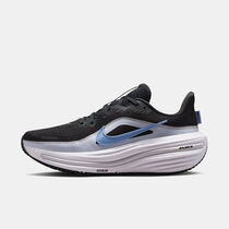 Nike Winflo 12