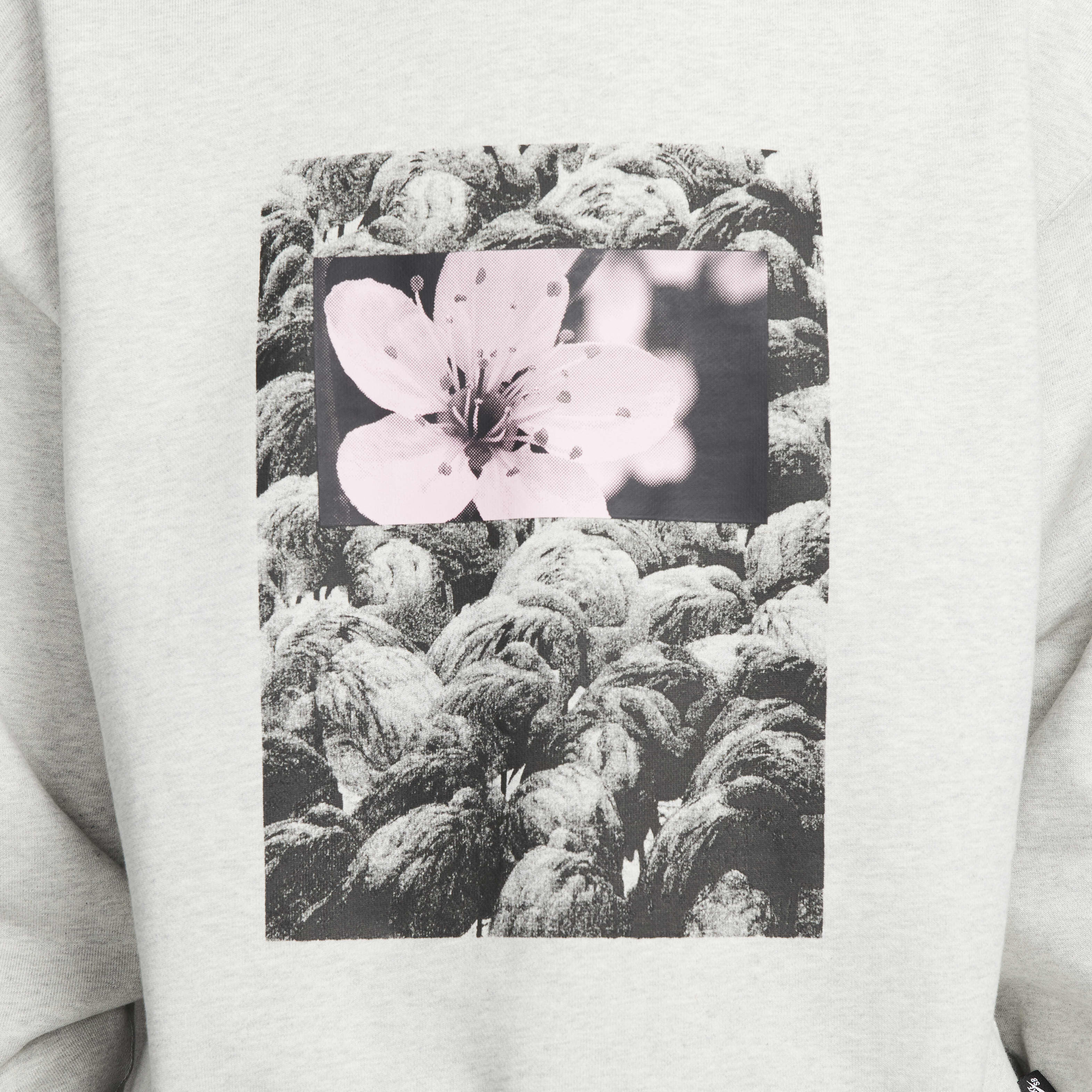 Nike SB image number 3