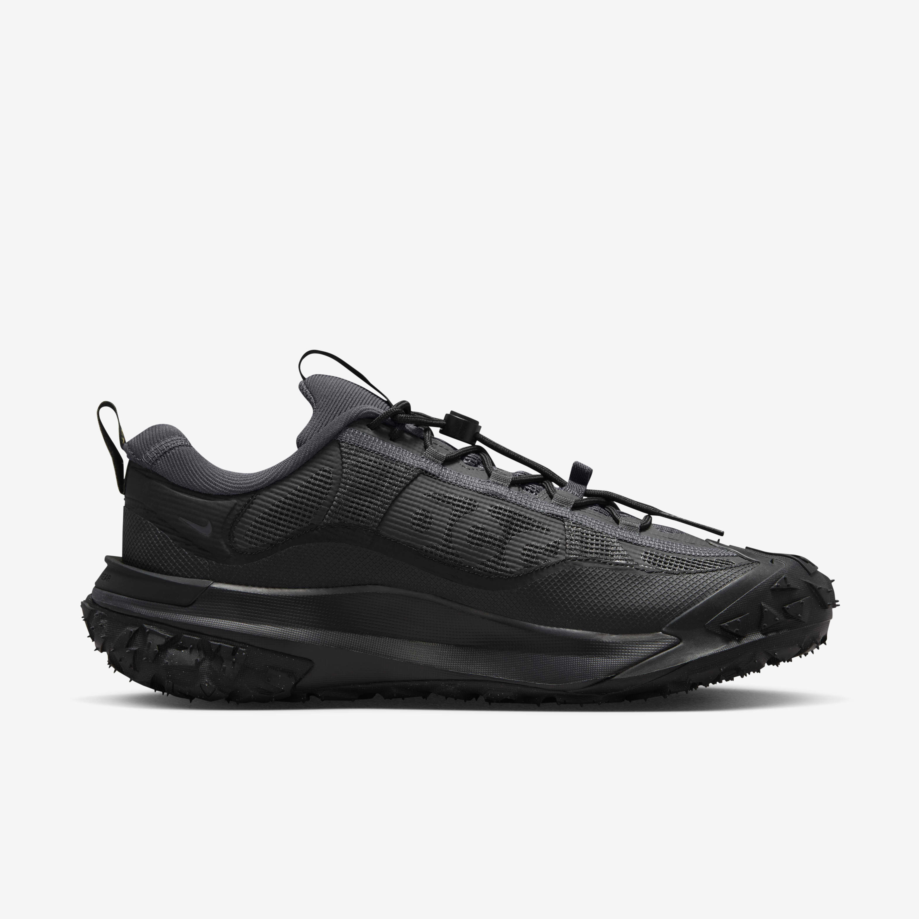 Nike ACG Mountain Fly 2 Low GORE-TEX image number 2