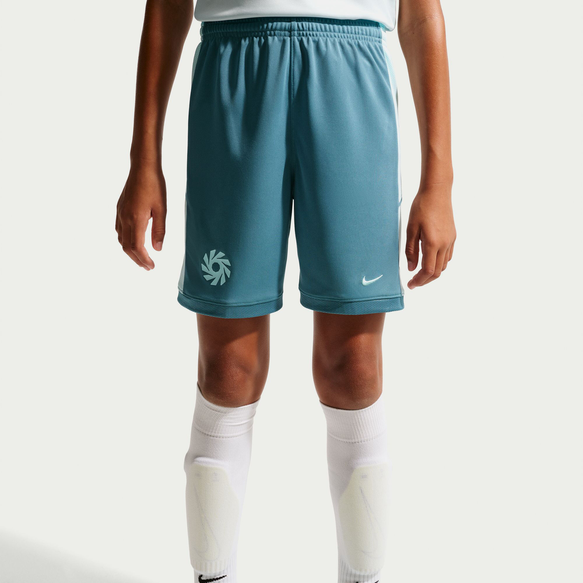 Erling Haaland Erling Haaland Academy image number 2