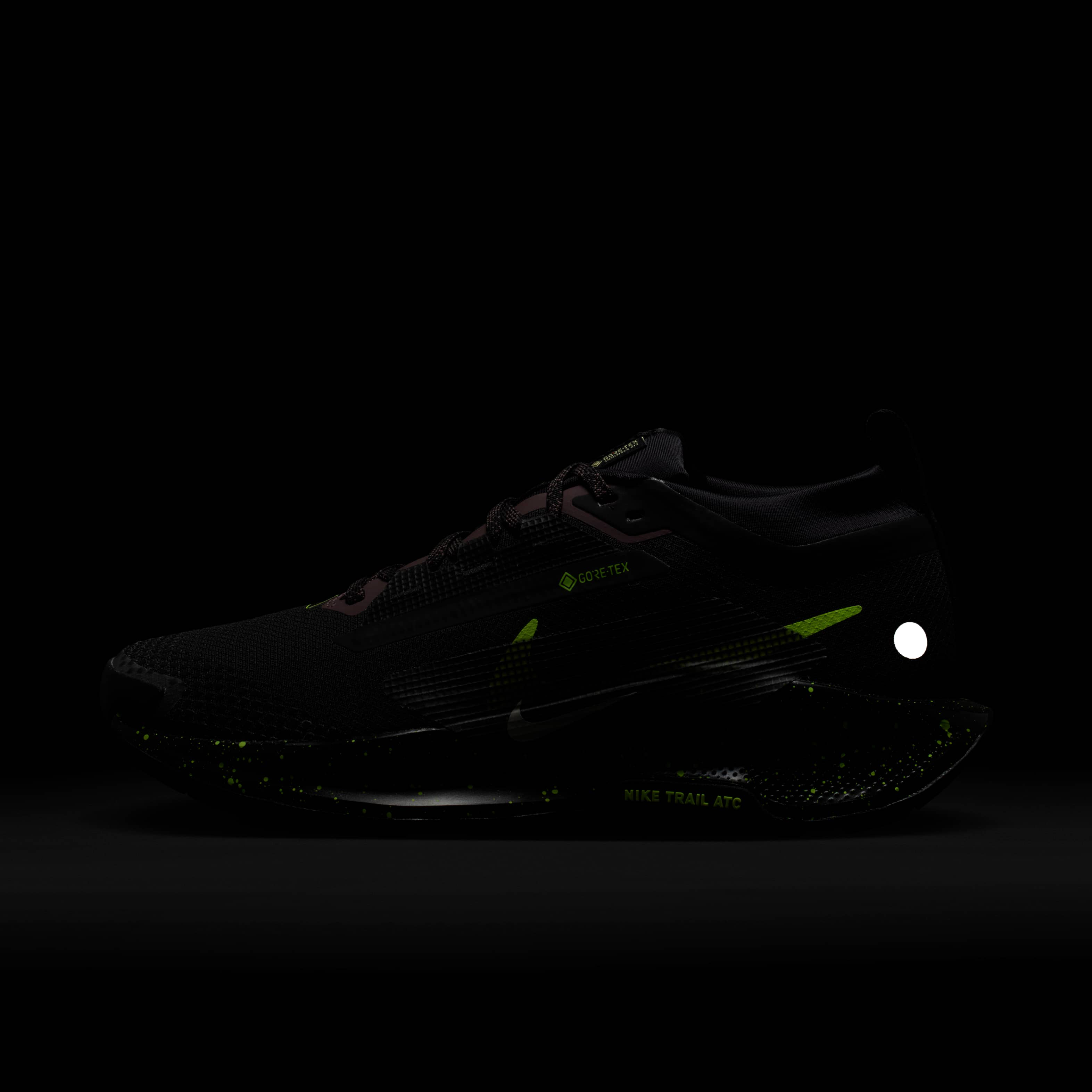 Nike Pegasus Trail 5 GORE-TEX image number 8