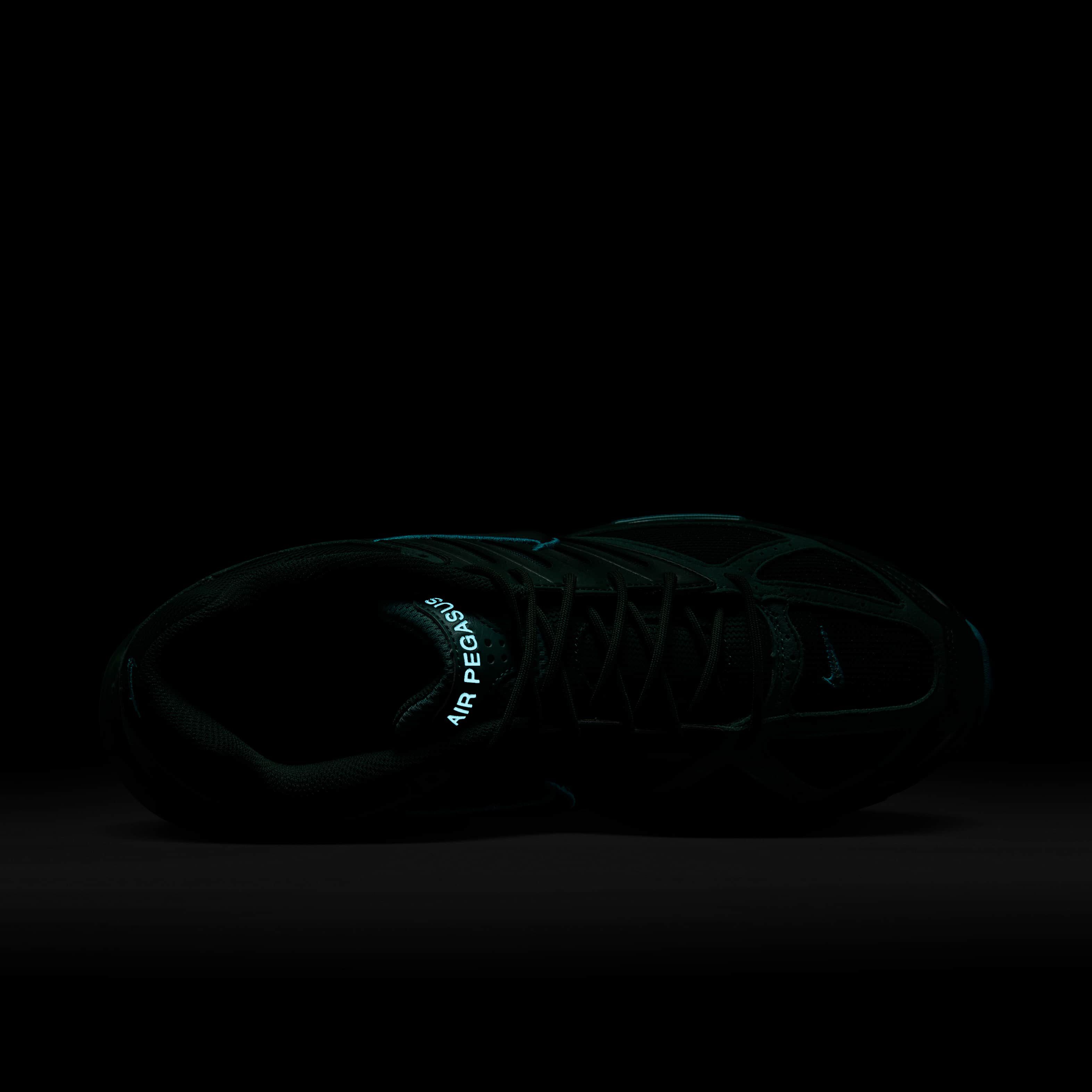 نايكي اير بيجاسوس 2005 image number 8