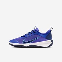 Nike Omni Multi-Court